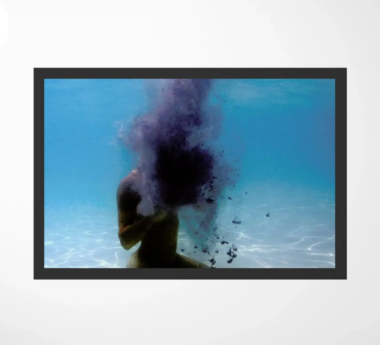 Untitled_1 zerbino da James Cooper