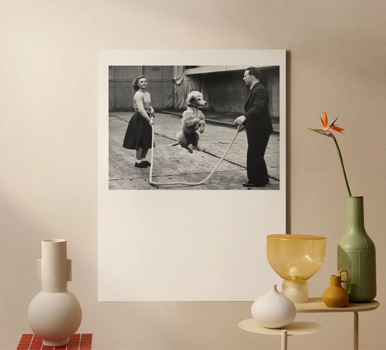 Poodle Jumping Rope canvas with Floater frame by Black And White