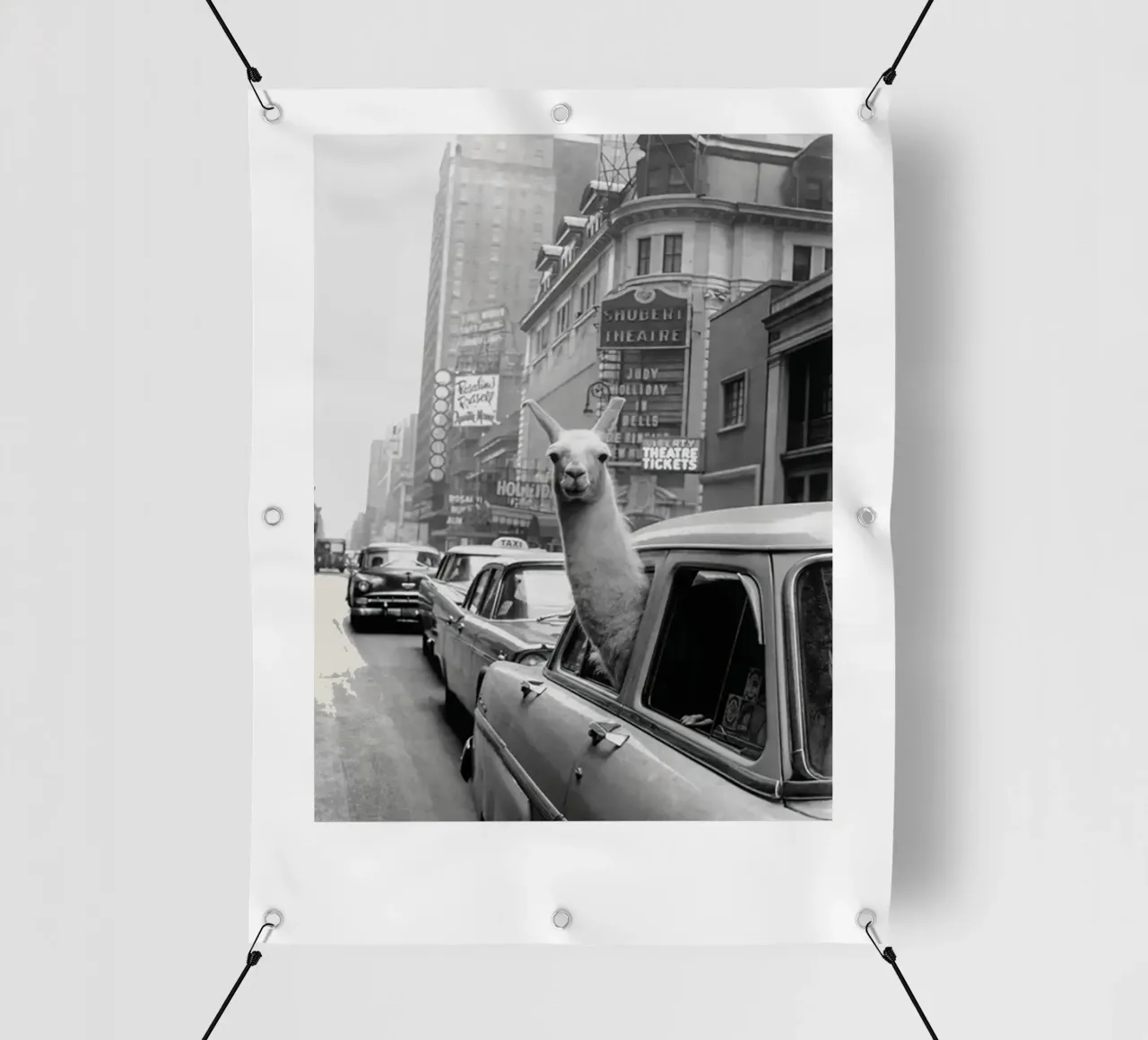 Lama in taxi telo in pvc da Black And White