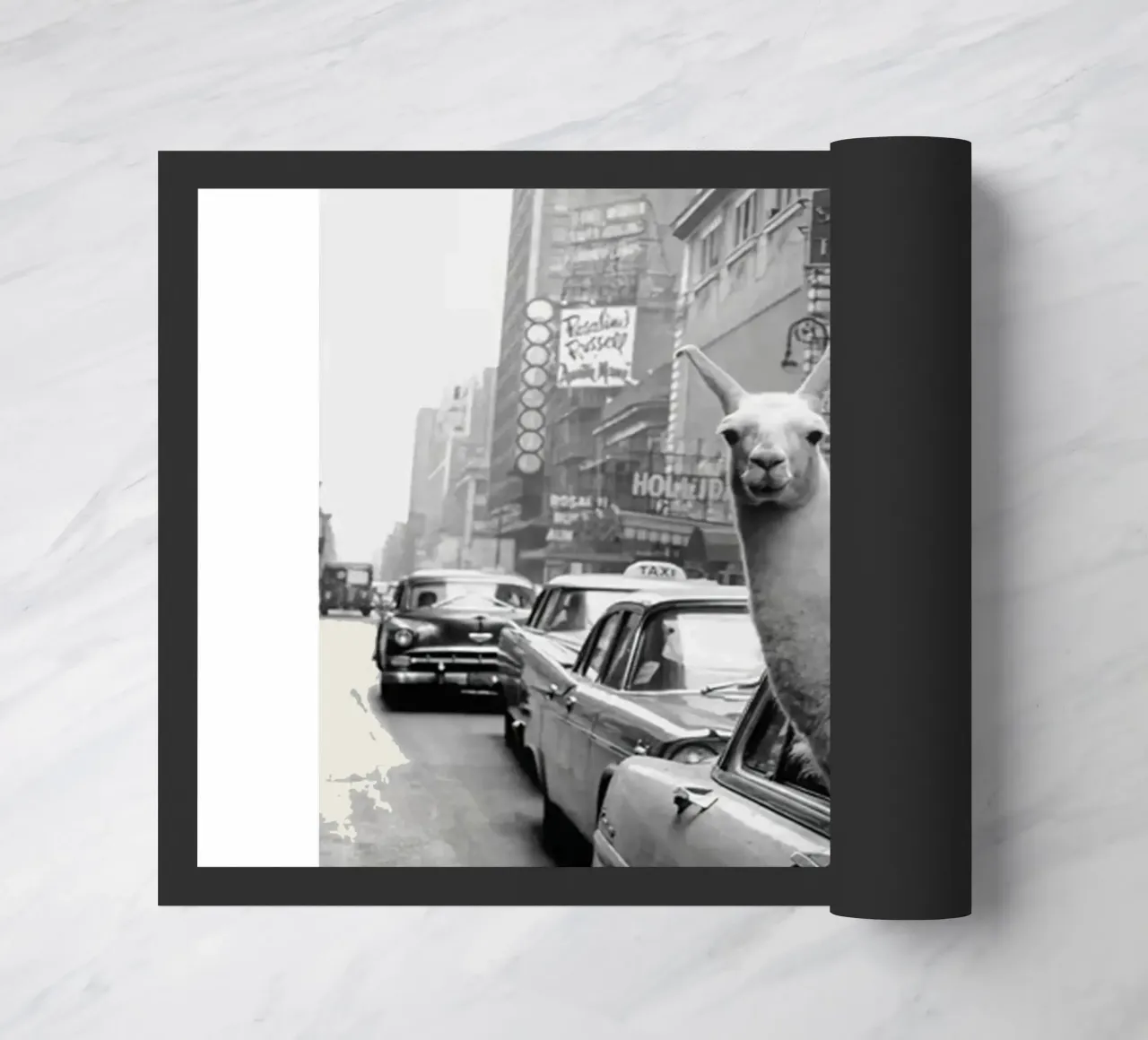Lama in taxi zerbino da Black And White