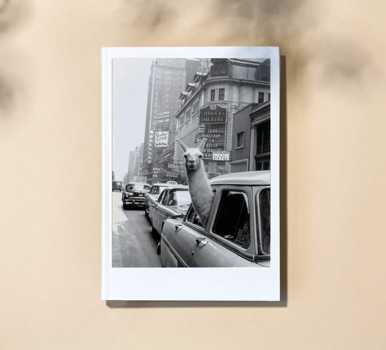 Llama Riding in Taxi notebook by Black And White