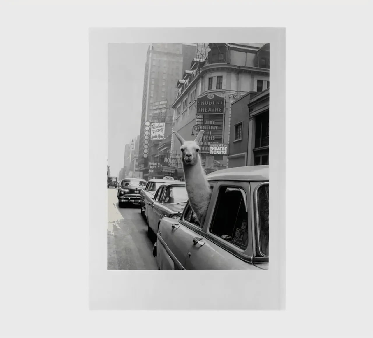 Llama Riding in Taxi notebook by Black And White