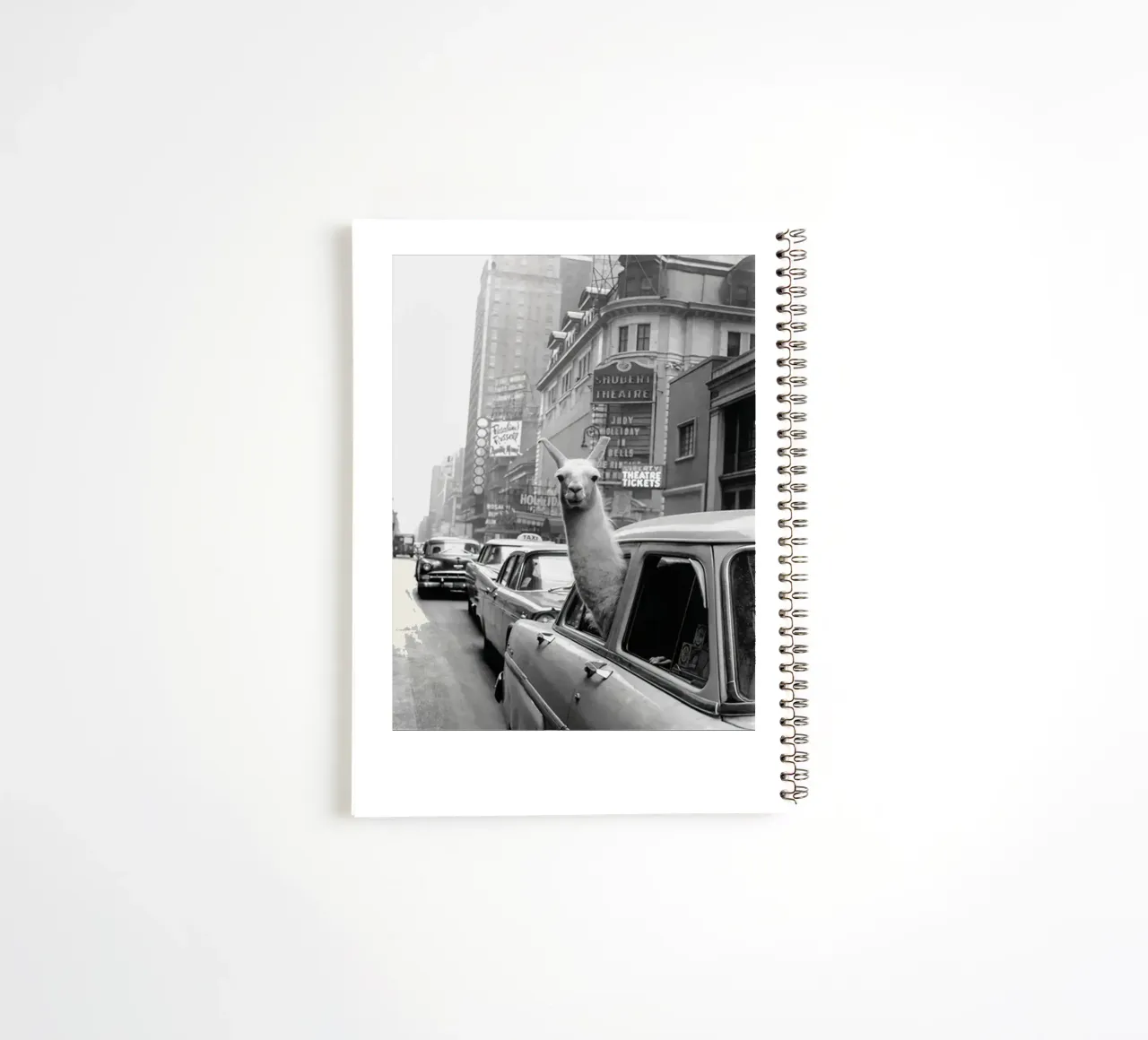 Llama Riding in Taxi spiral notebook by Black And White