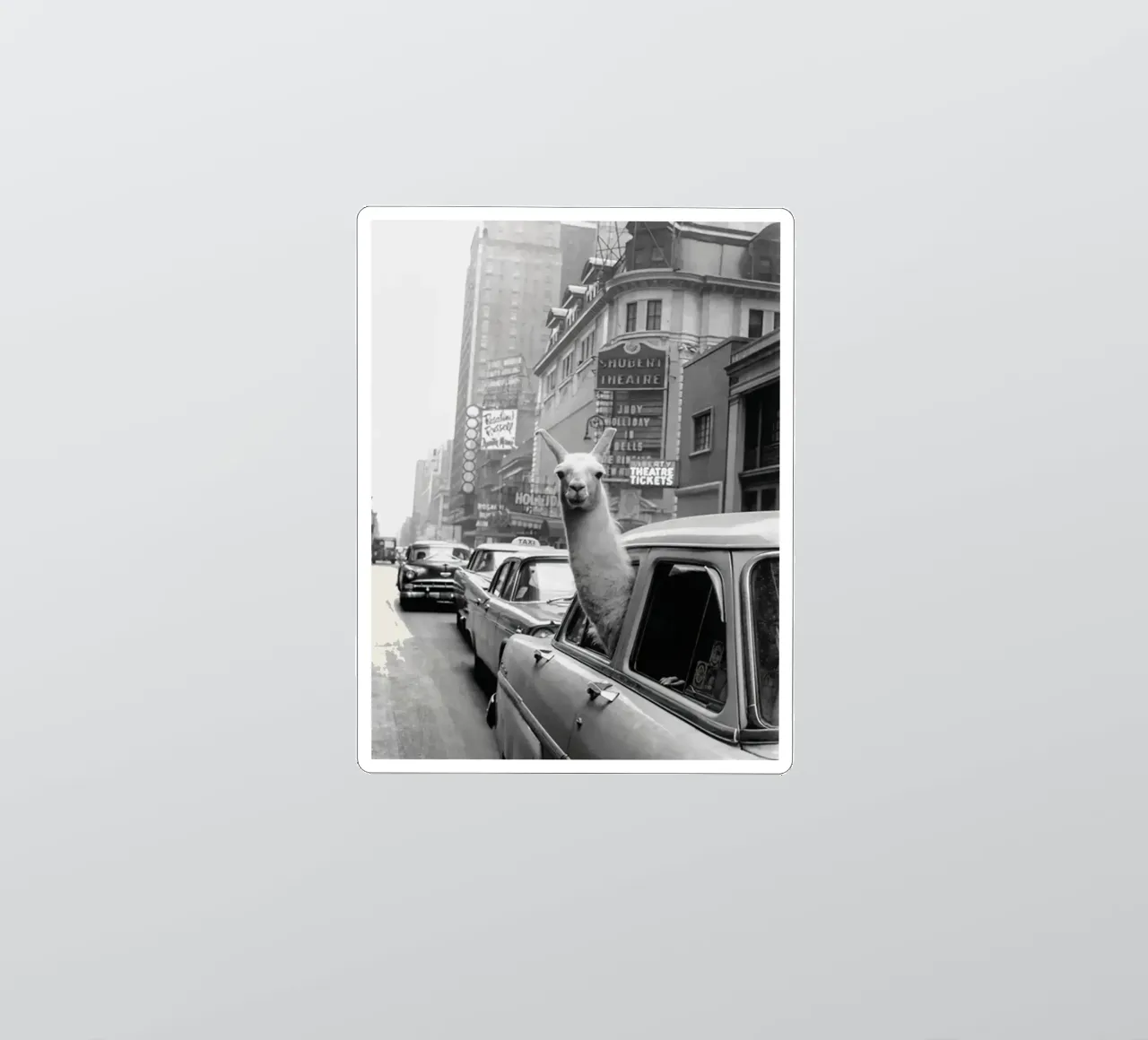 Lama in taxi adesivo da Black And White