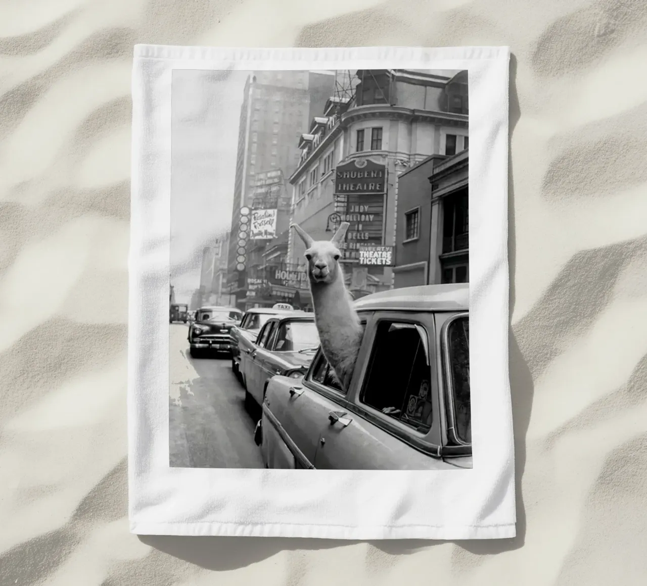 Lama in taxi telo mare da Black And White