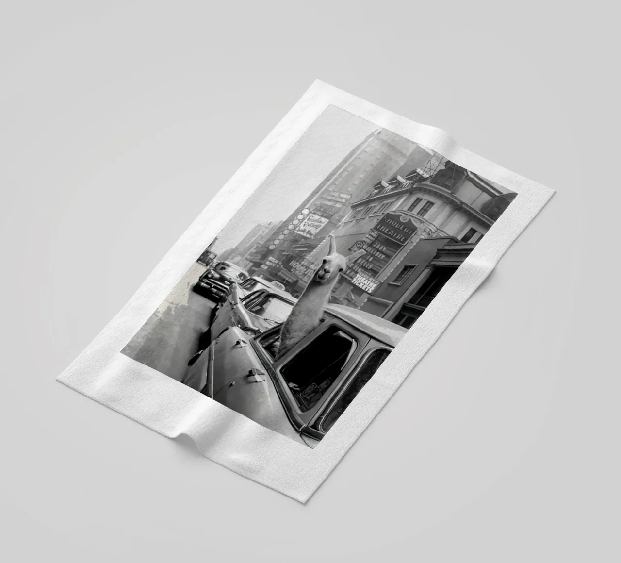 Lama in taxi telo mare da Black And White
