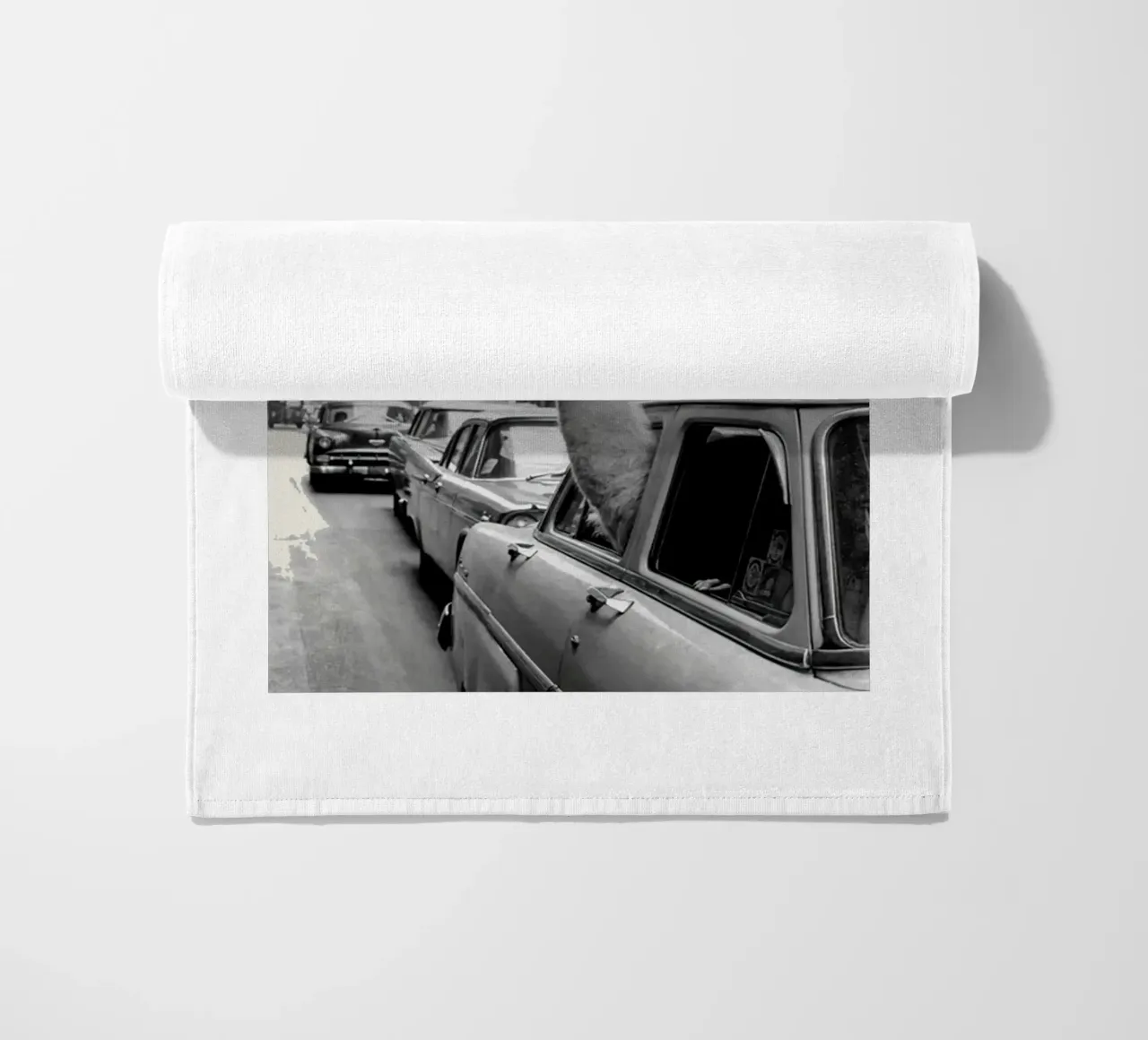 Lama in taxi telo mare da Black And White