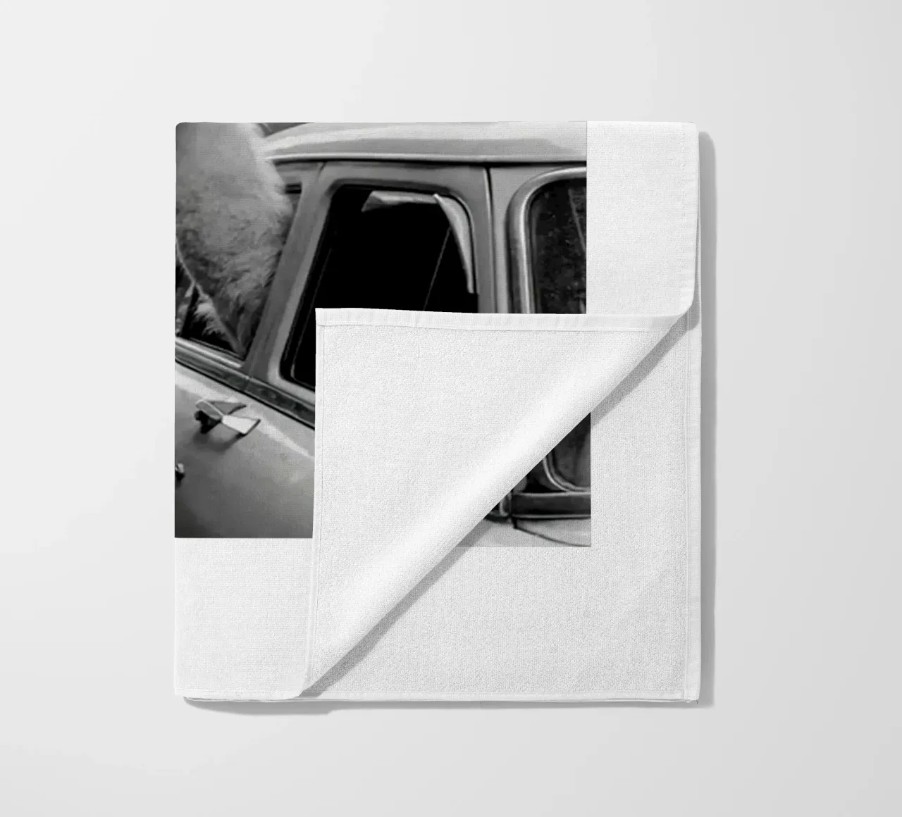 Lama in taxi telo mare da Black And White