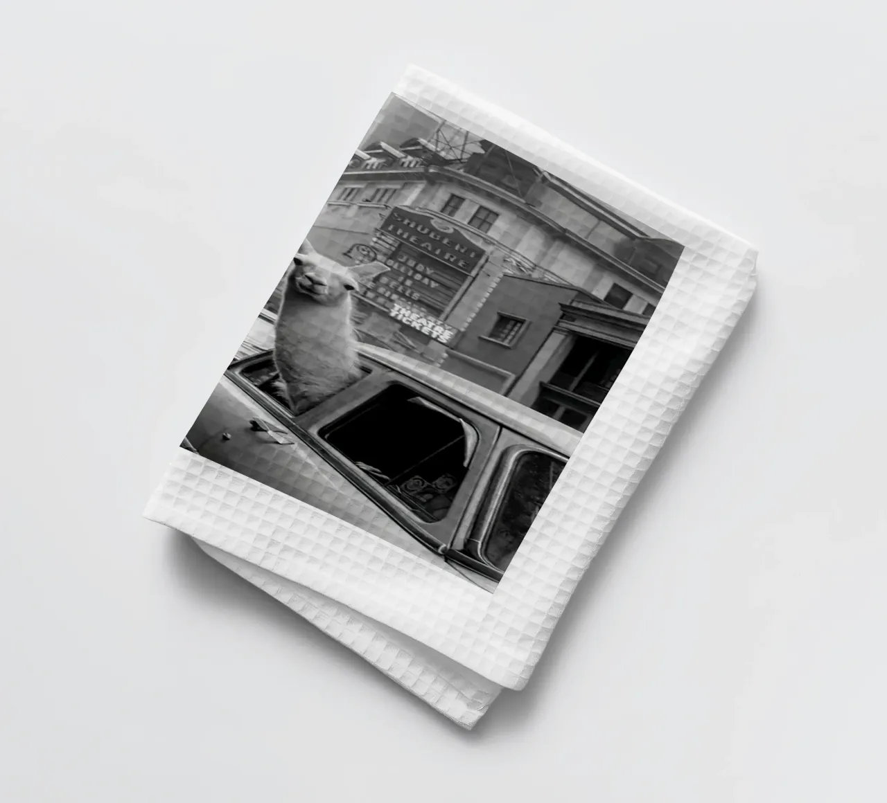 Lama in taxi canovaccio da cucina da Black And White
