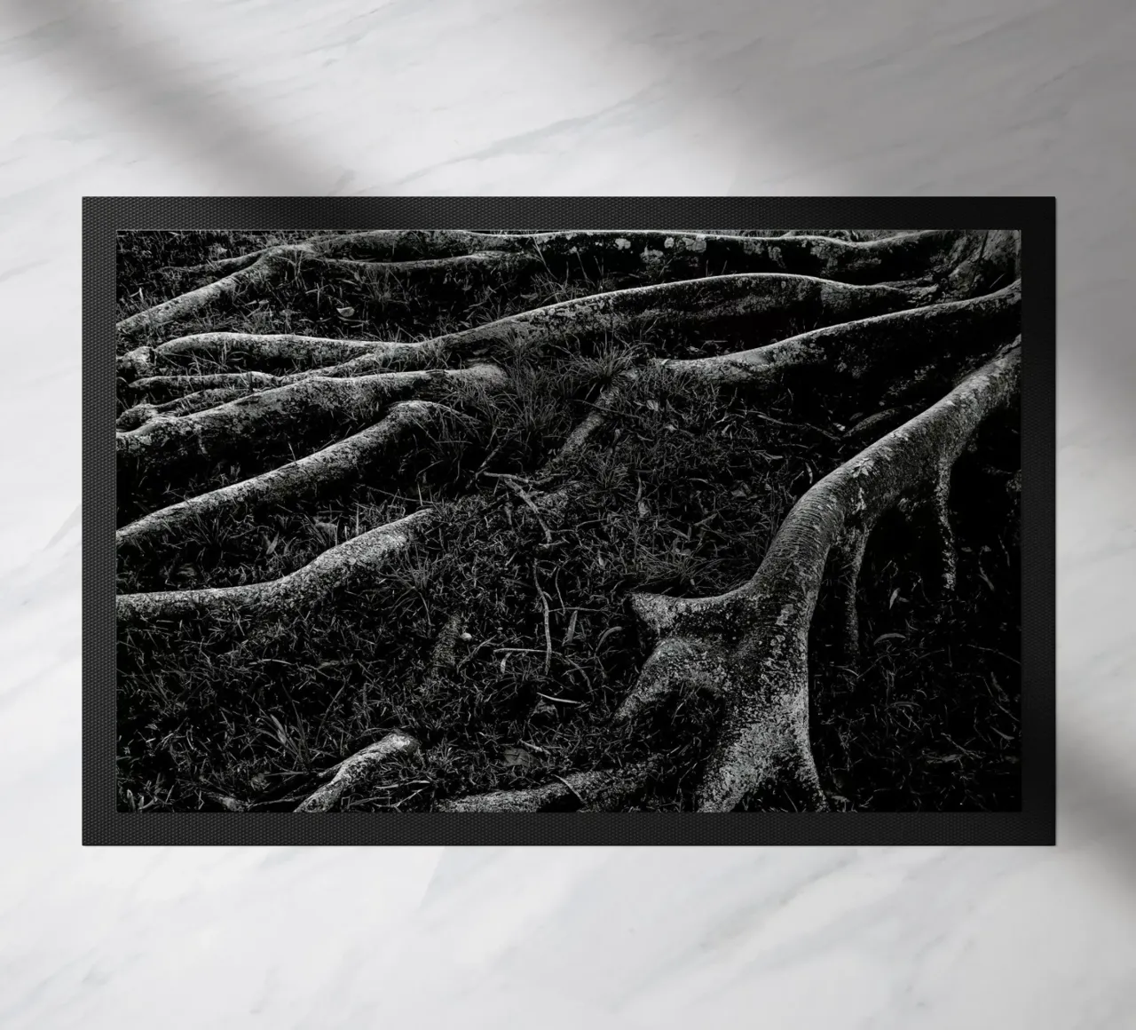 Roots I zerbino da Tal Paz-Fridman