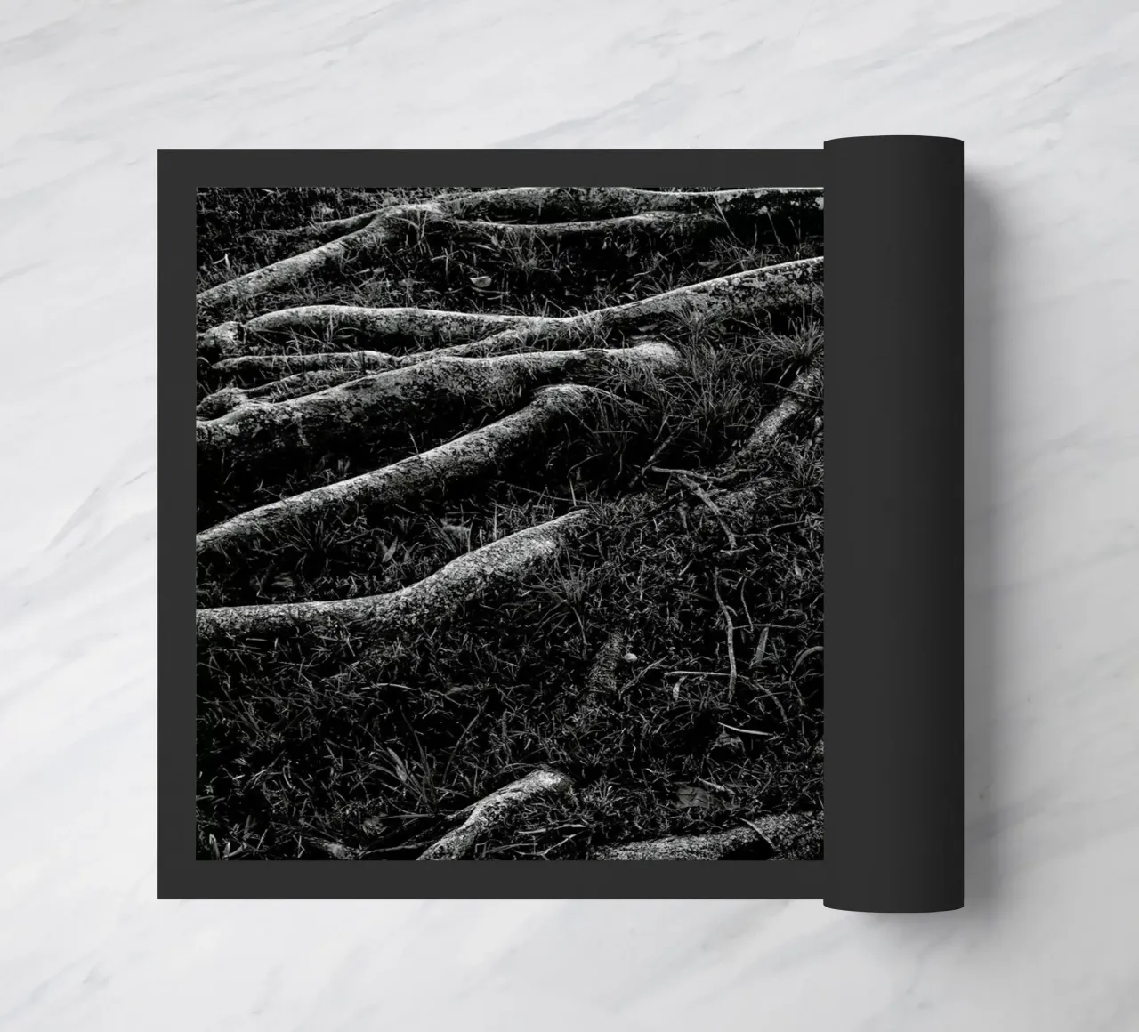 Roots I zerbino da Tal Paz-Fridman