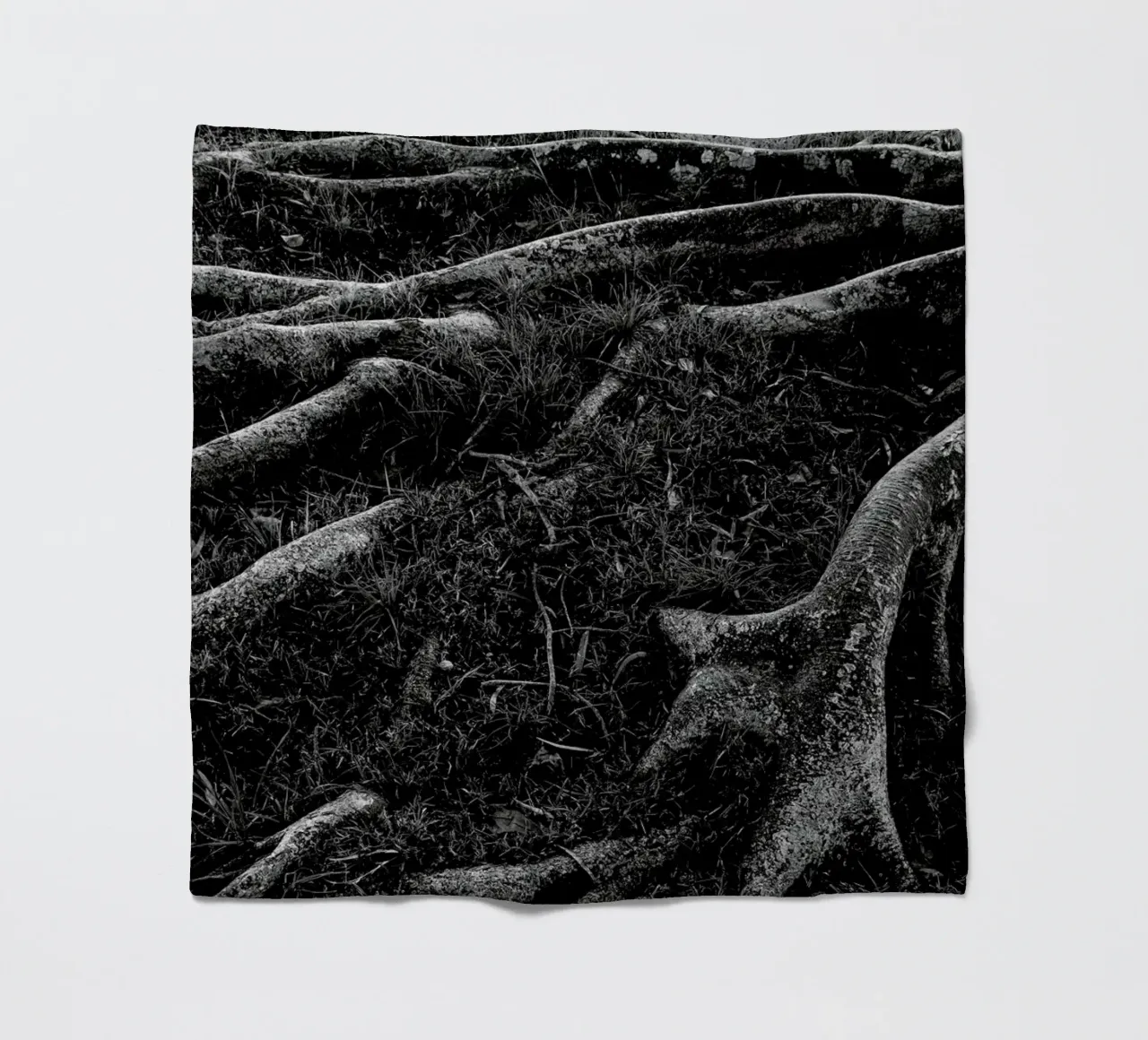 Roots I coperta in pile da Tal Paz-Fridman