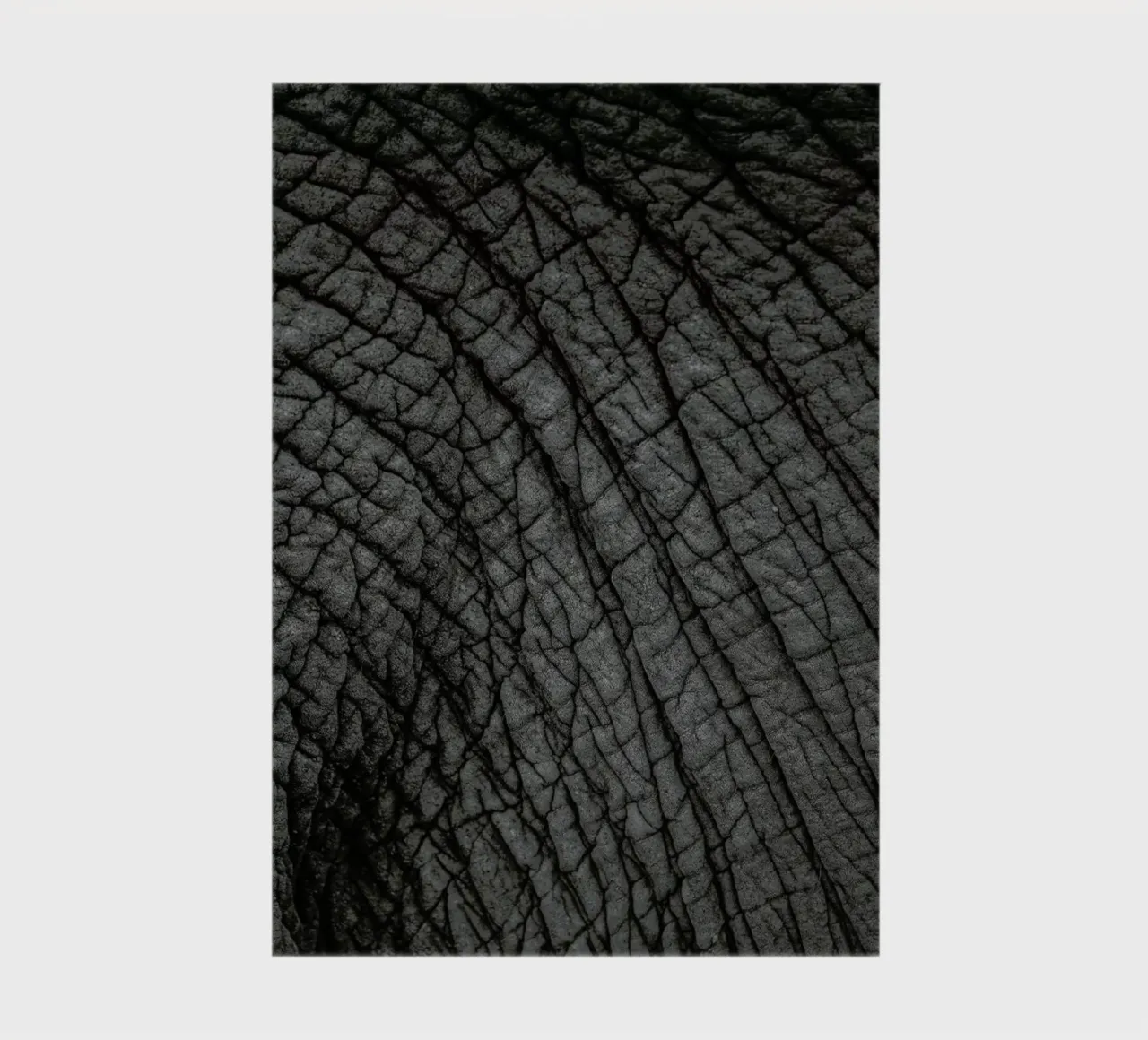 Olifant 03 notebook by Shot By Clint