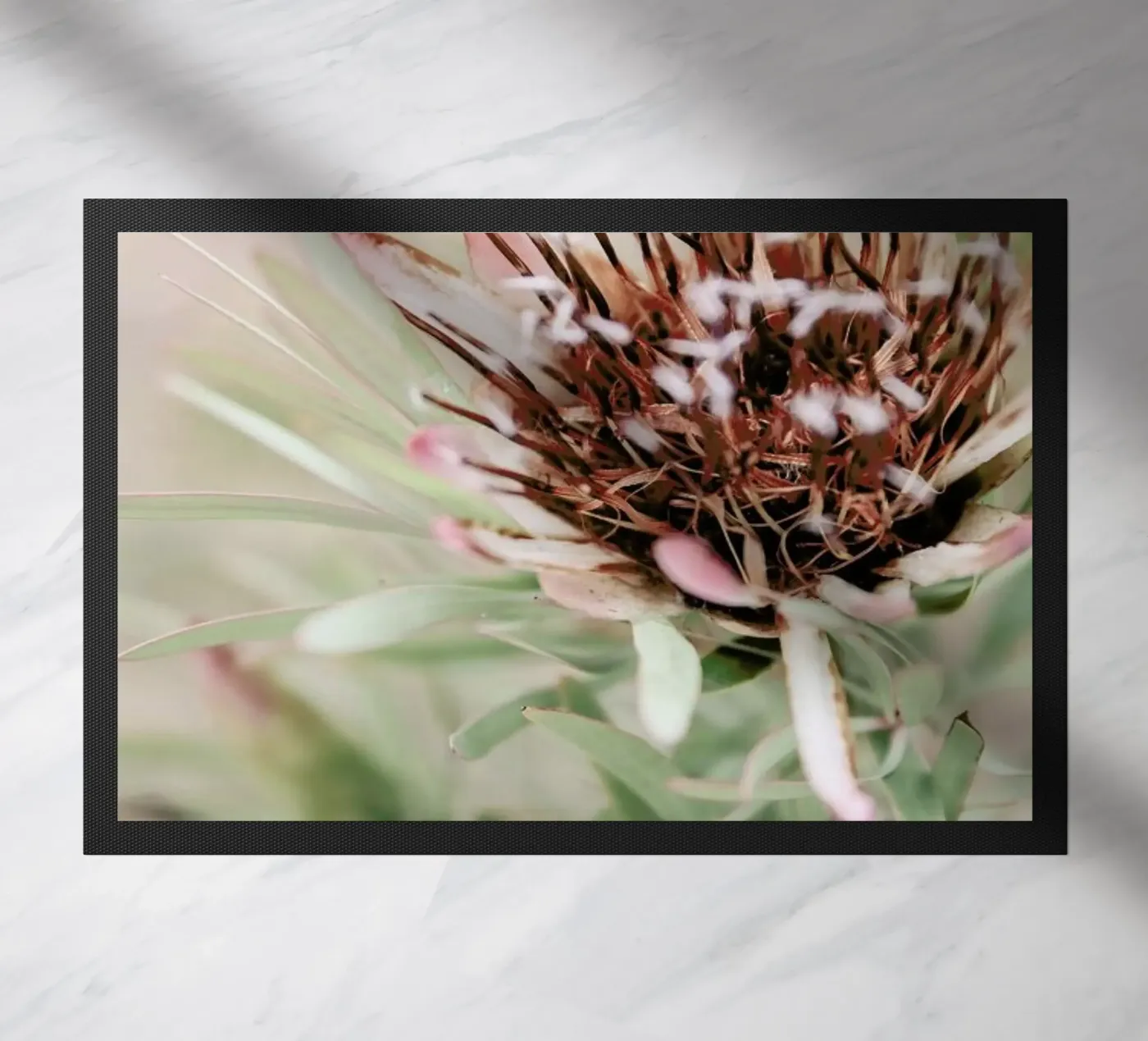 Blomma zerbino da Shot By Clint