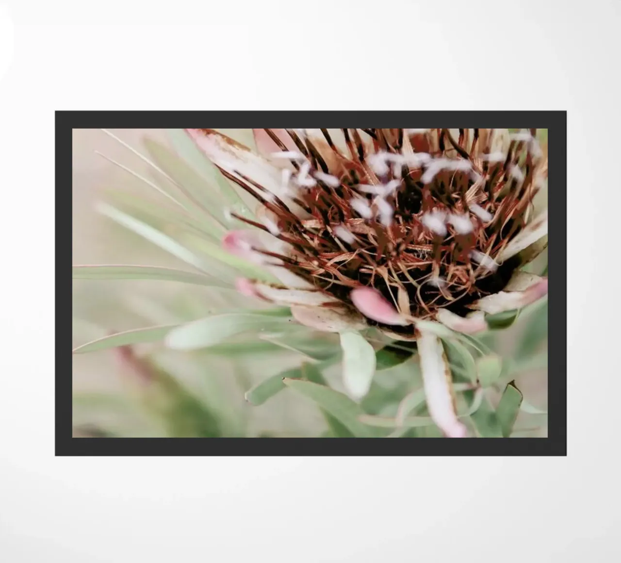 Blomma doormat by Shot By Clint