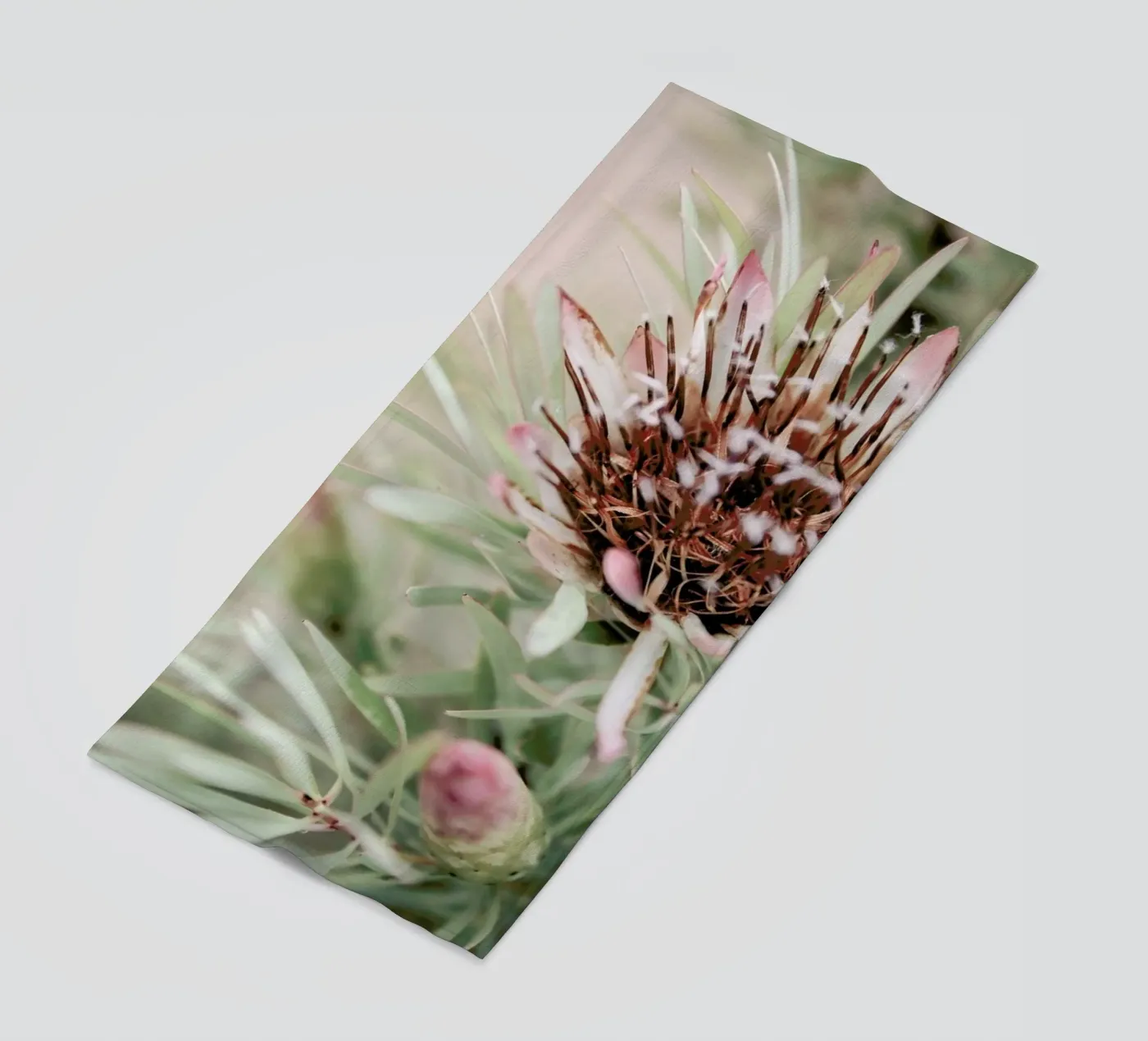 Blomma telo mare da Shot By Clint