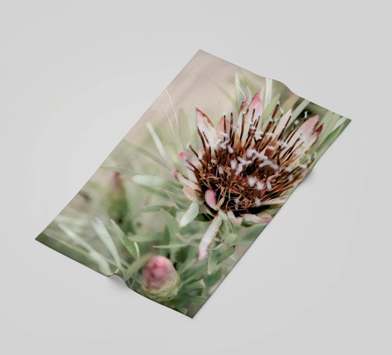 Blomma telo mare da Shot By Clint