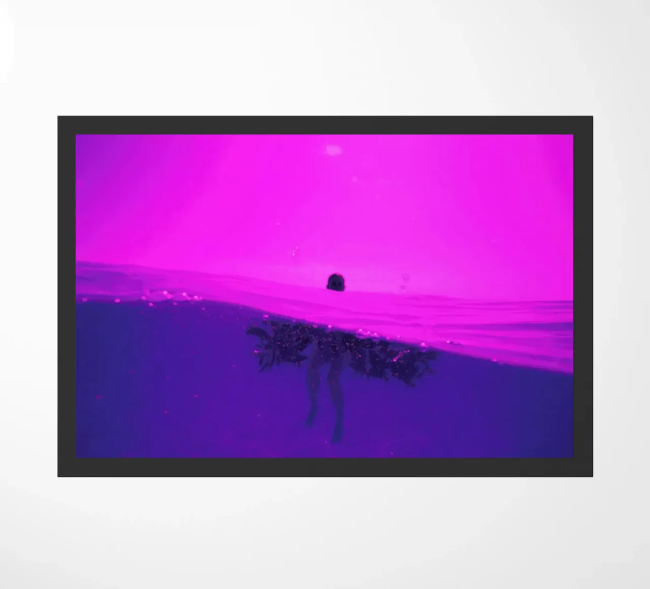 Untitled_2 zerbino da James Cooper