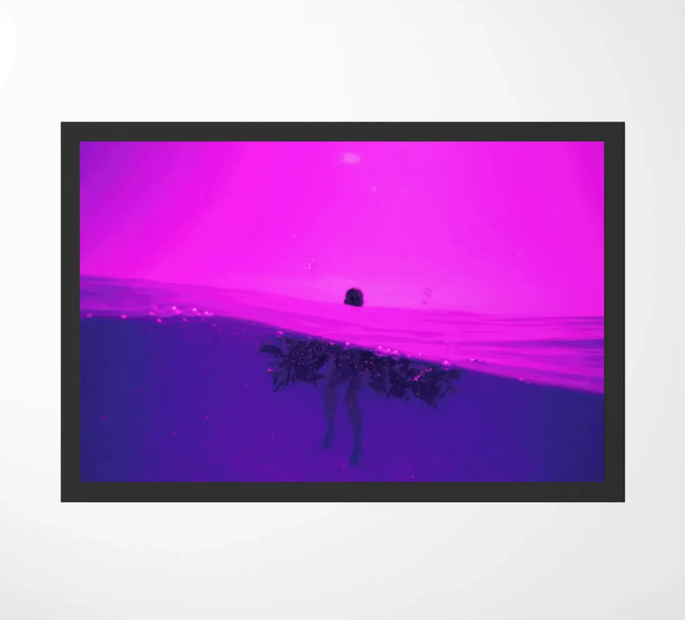 Untitled_2 zerbino da James Cooper