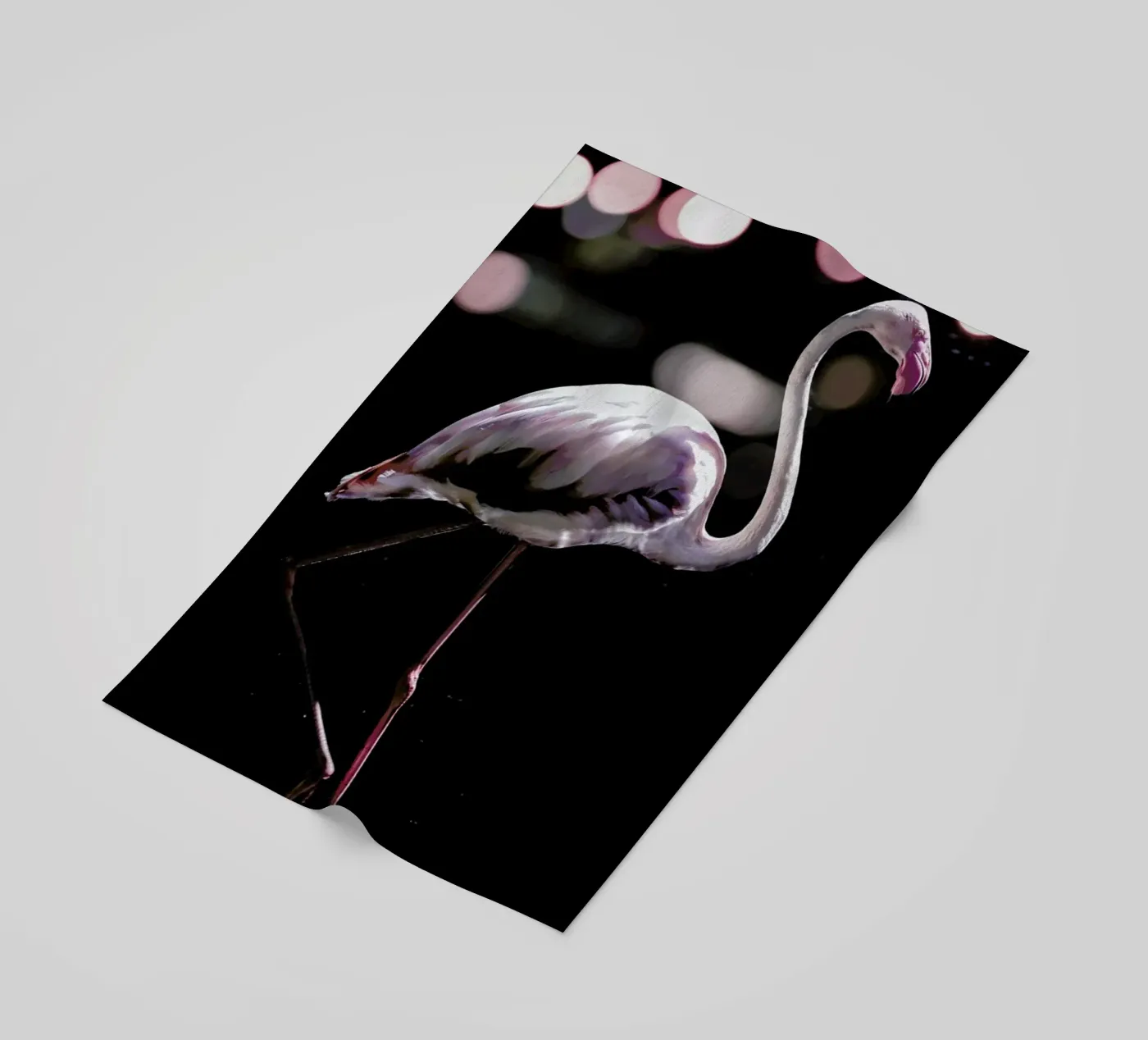Dancing Flamingo telo mare da Shot By Clint