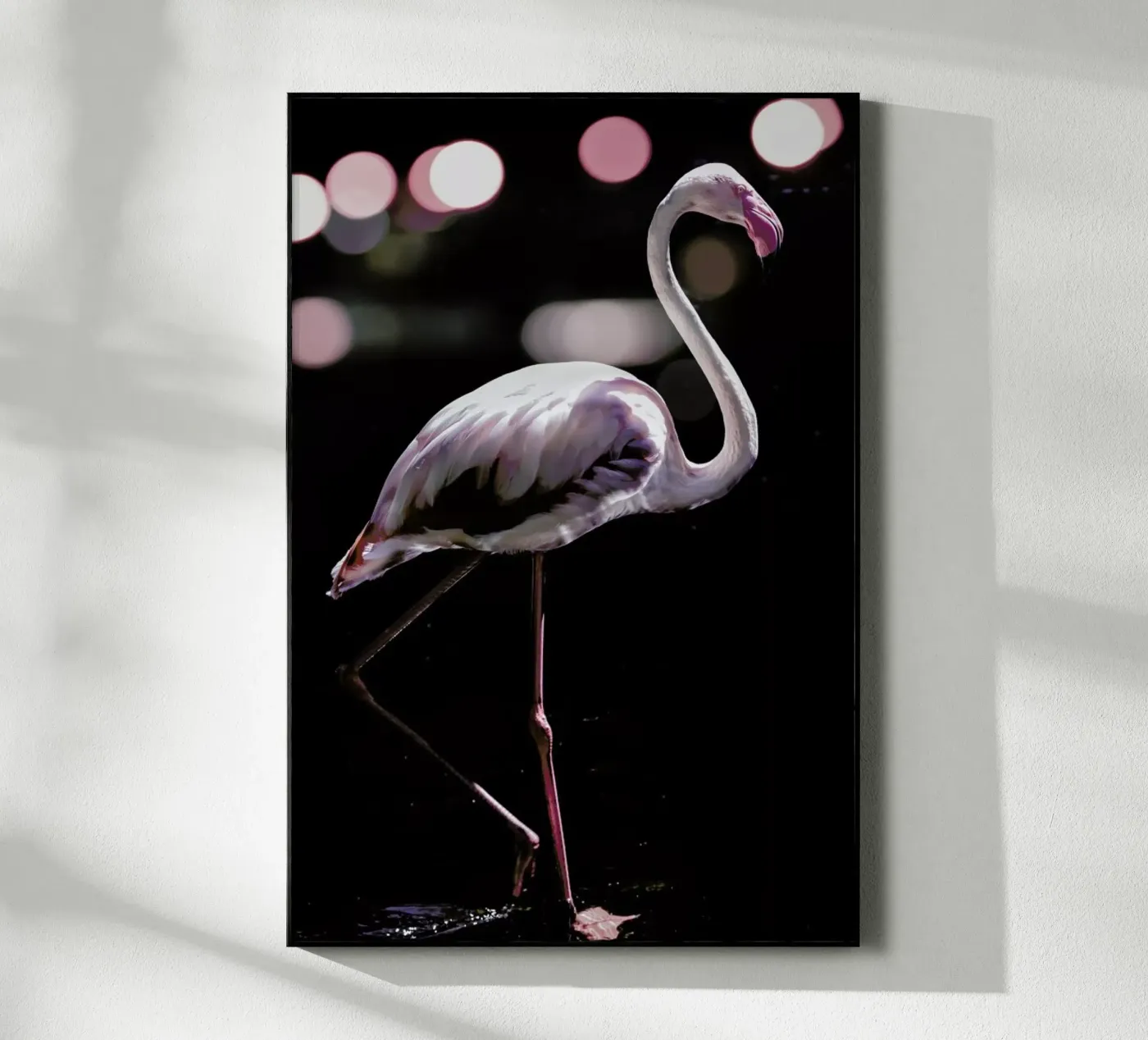 Dancing Flamingo plexiglass da Shot By Clint