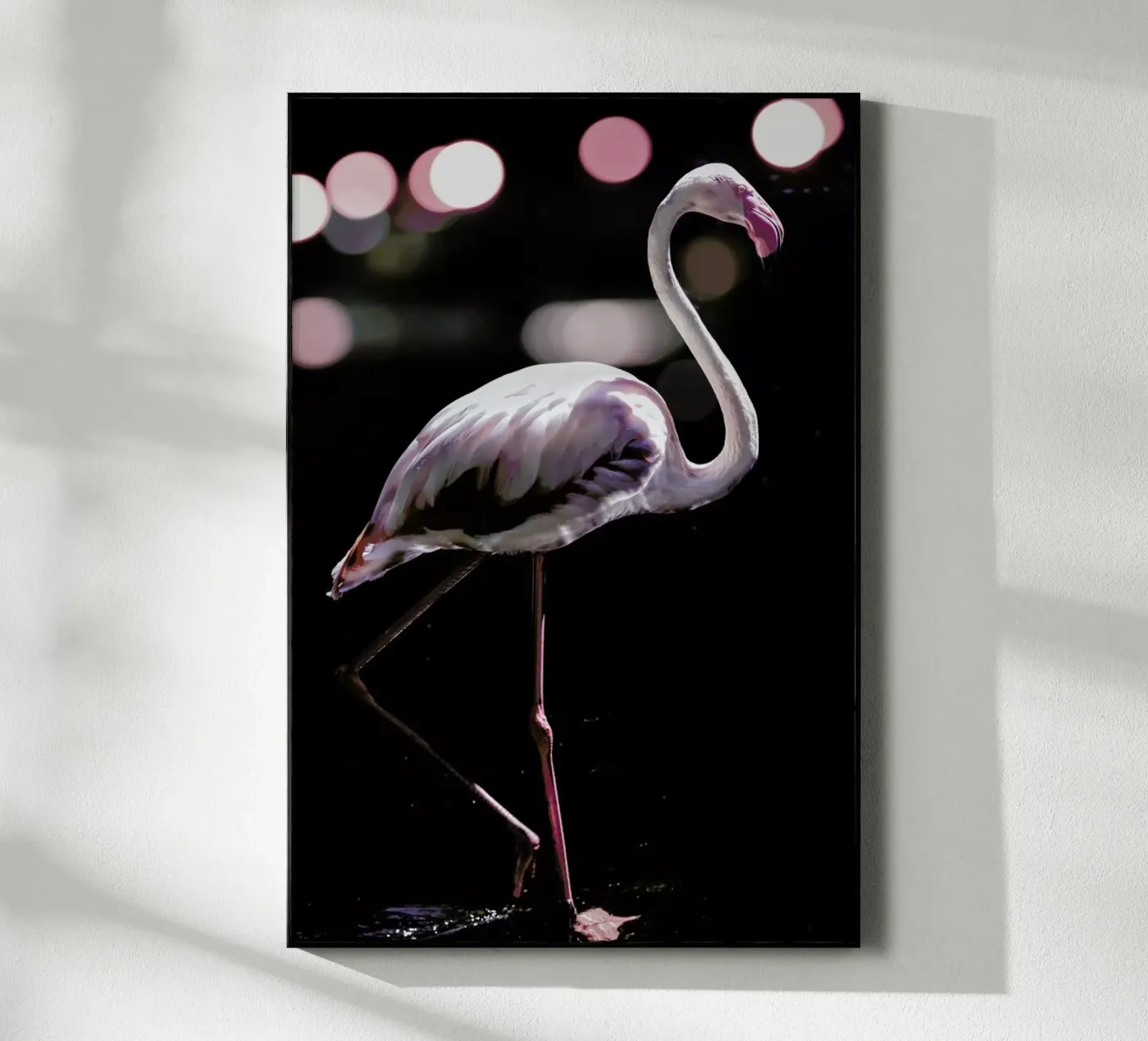 Dancing Flamingo plexiglas de Shot By Clint