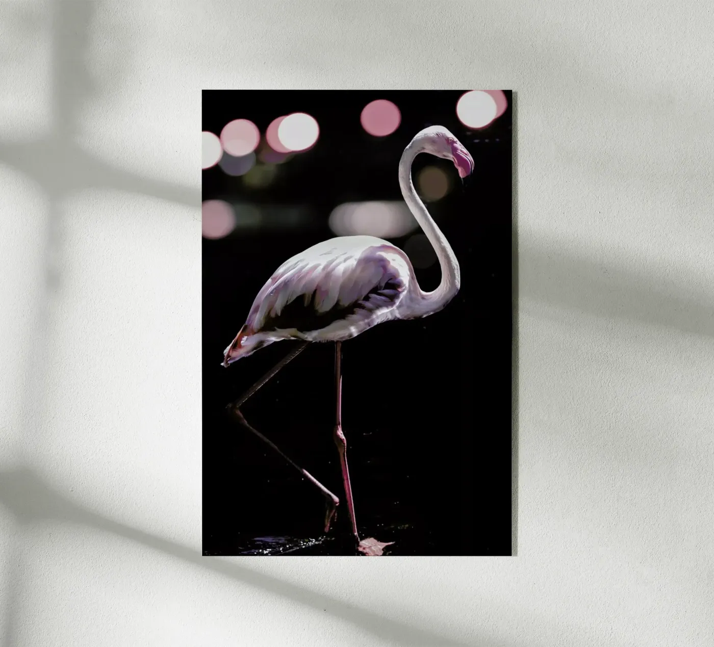 Dancing Flamingo plexiglas de Shot By Clint