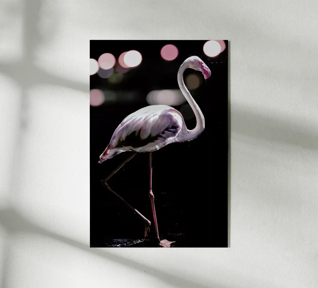 Dancing Flamingo acrylic glass by Shot By Clint