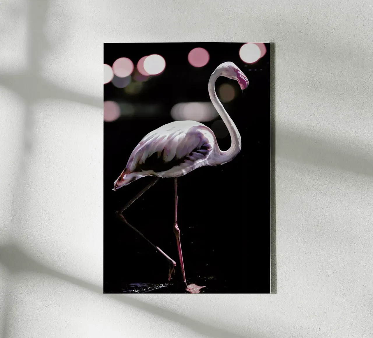 Dancing Flamingo tela con Cornice a cassetta da Shot By Clint