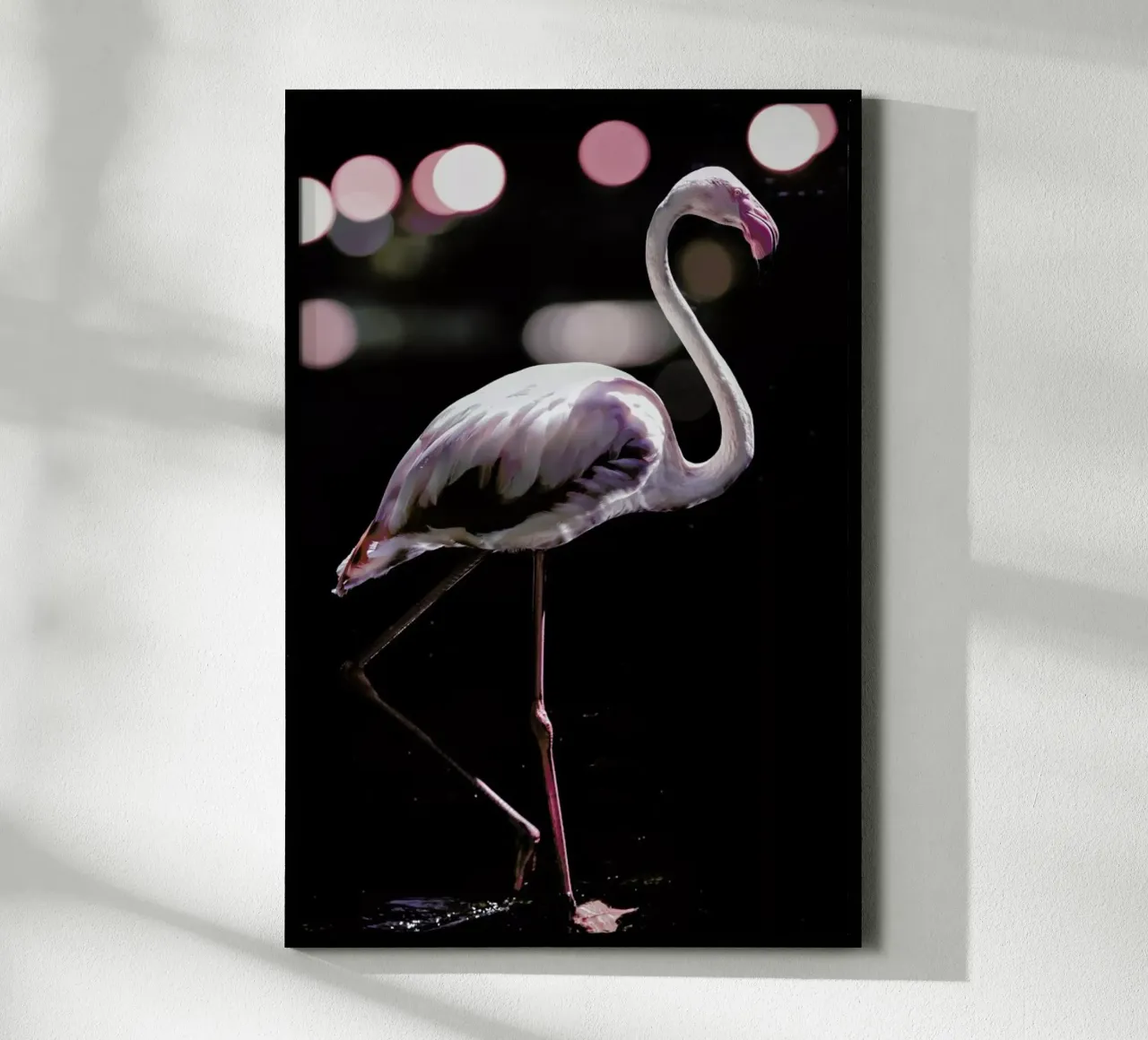 Dancing Flamingo poster da Shot By Clint