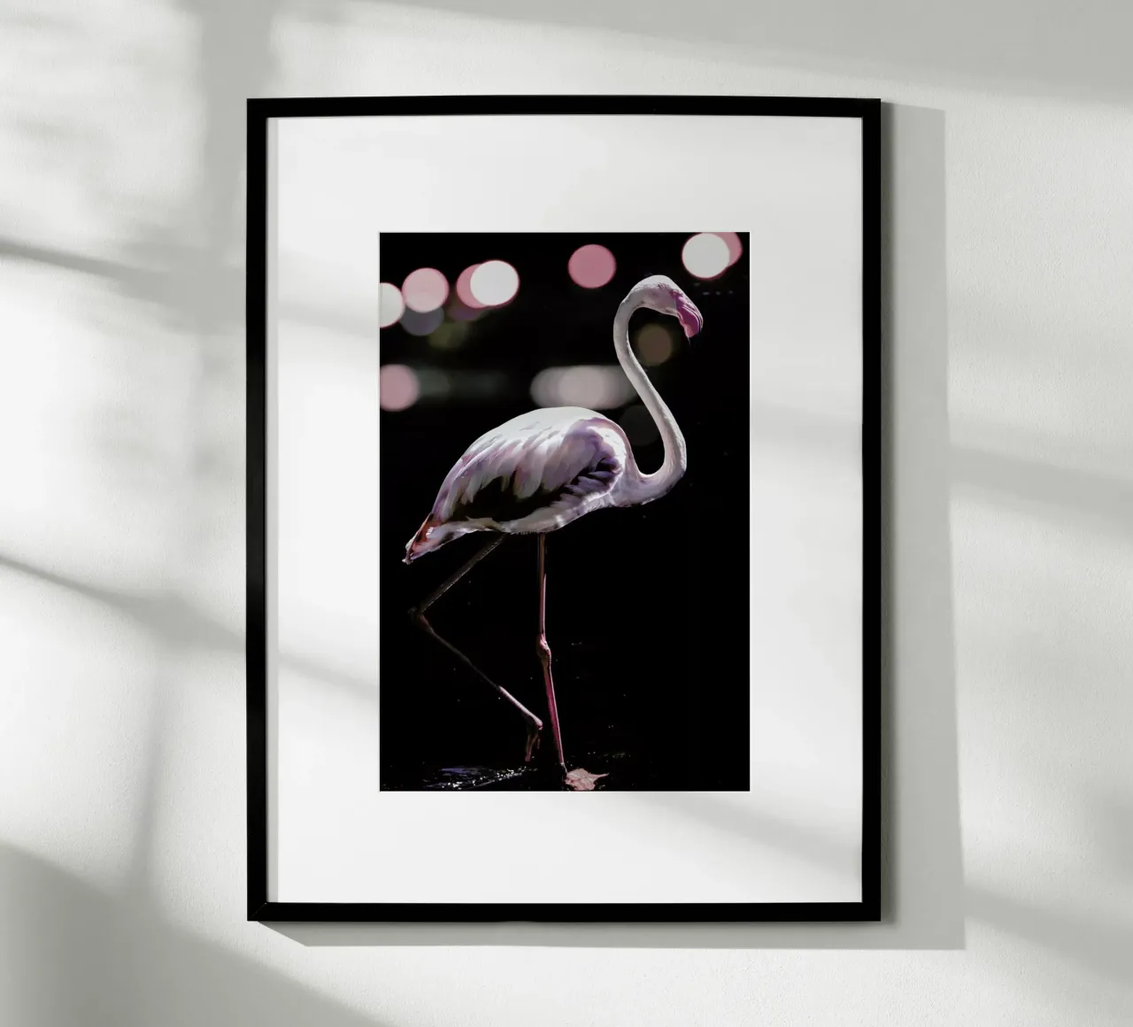 Dancing Flamingo carta hahnemühle da Shot By Clint