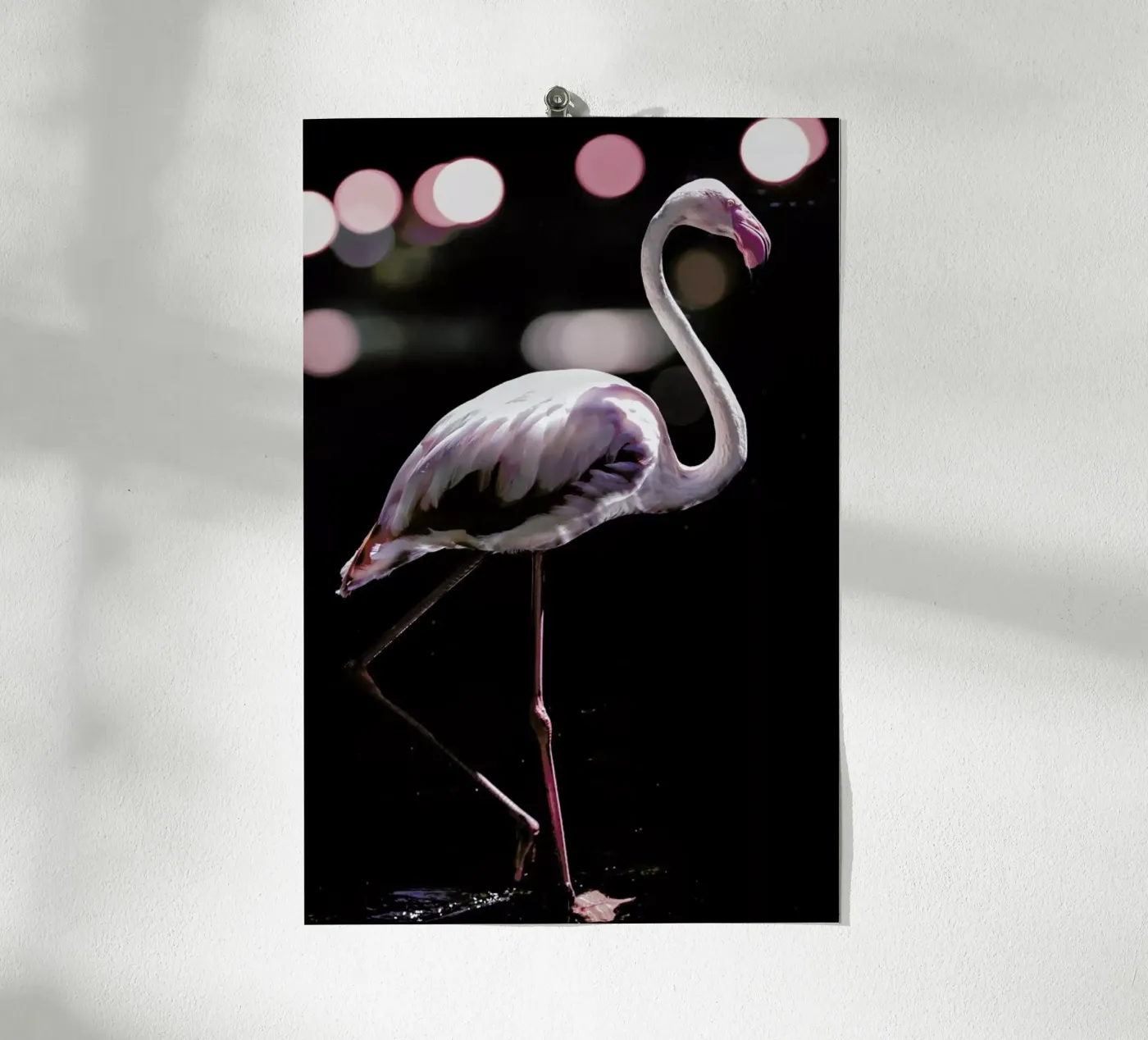 Dancing Flamingo poster da Shot By Clint