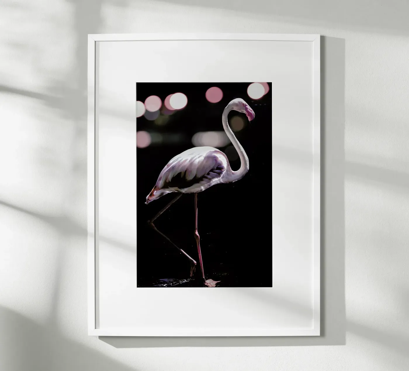 Dancing Flamingo poster da Shot By Clint