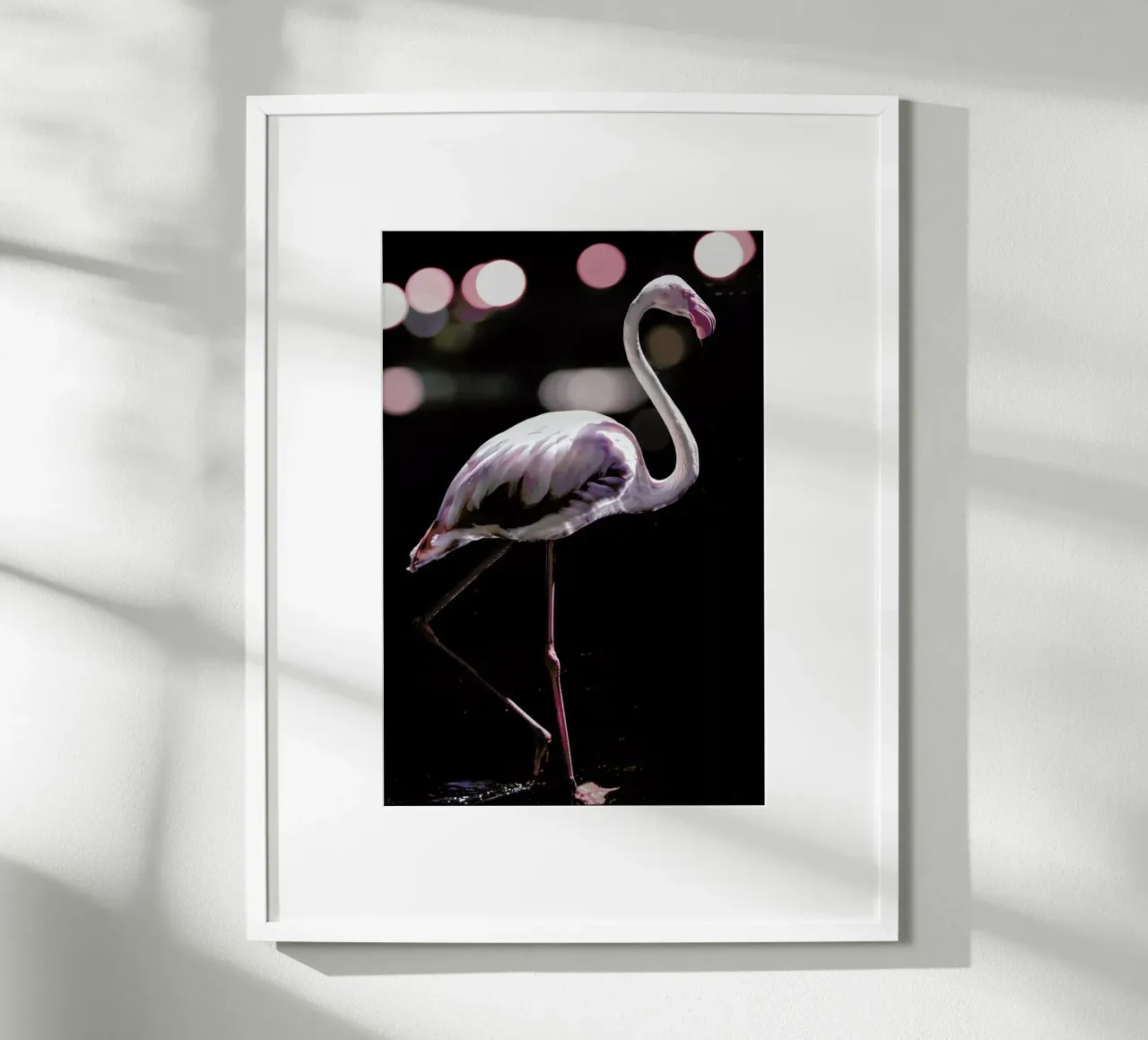 Dancing Flamingo poster da Shot By Clint