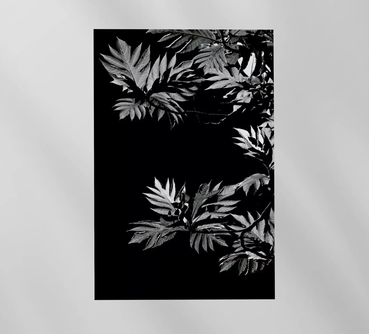 Wata pellicola backlit da Shot By Clint