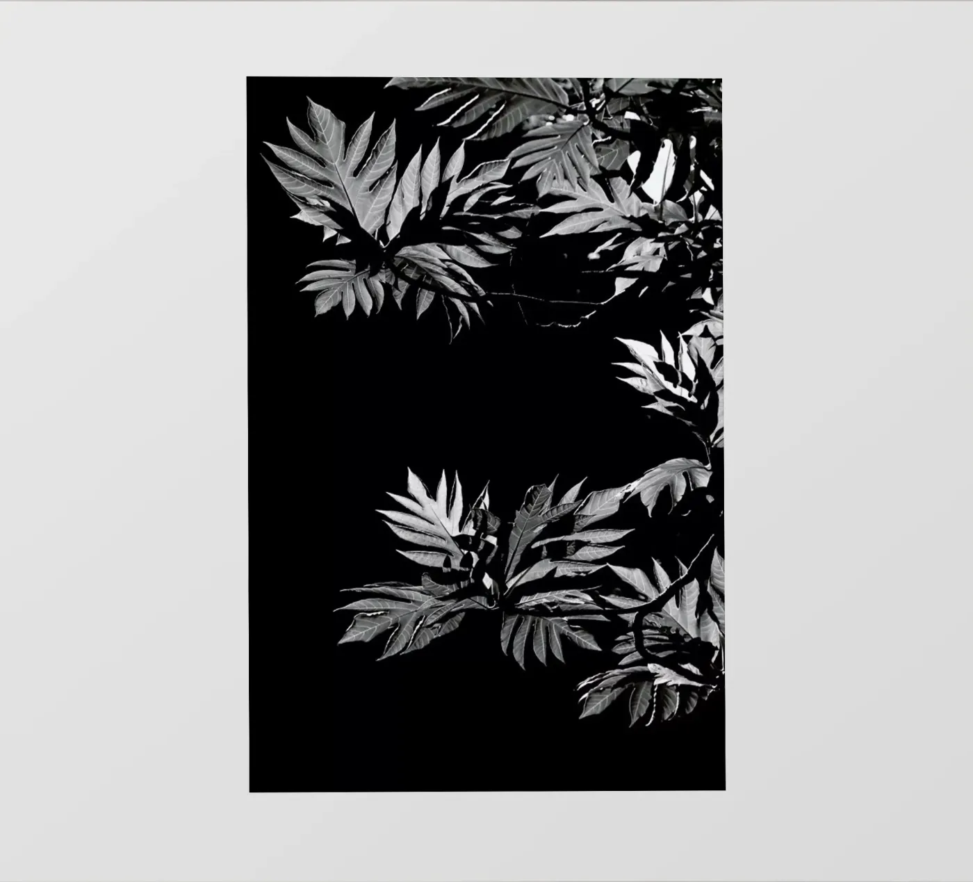 Wata pellicola backlit da Shot By Clint