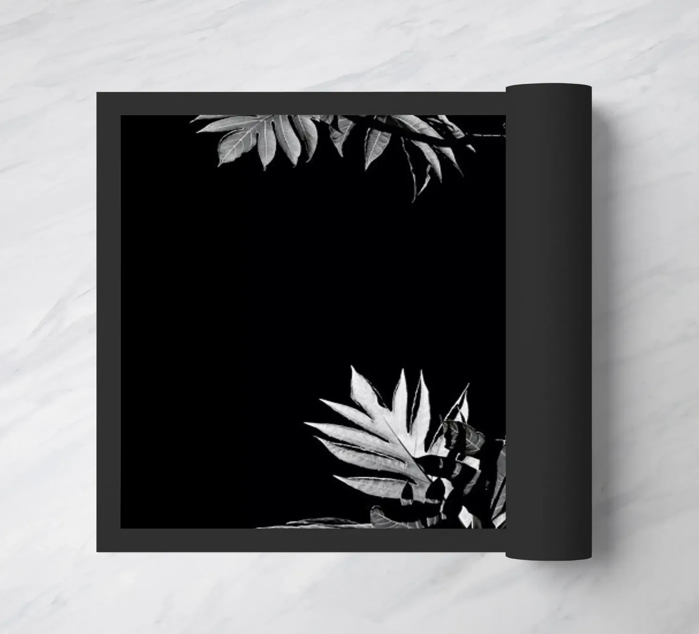 Wata zerbino da Shot By Clint