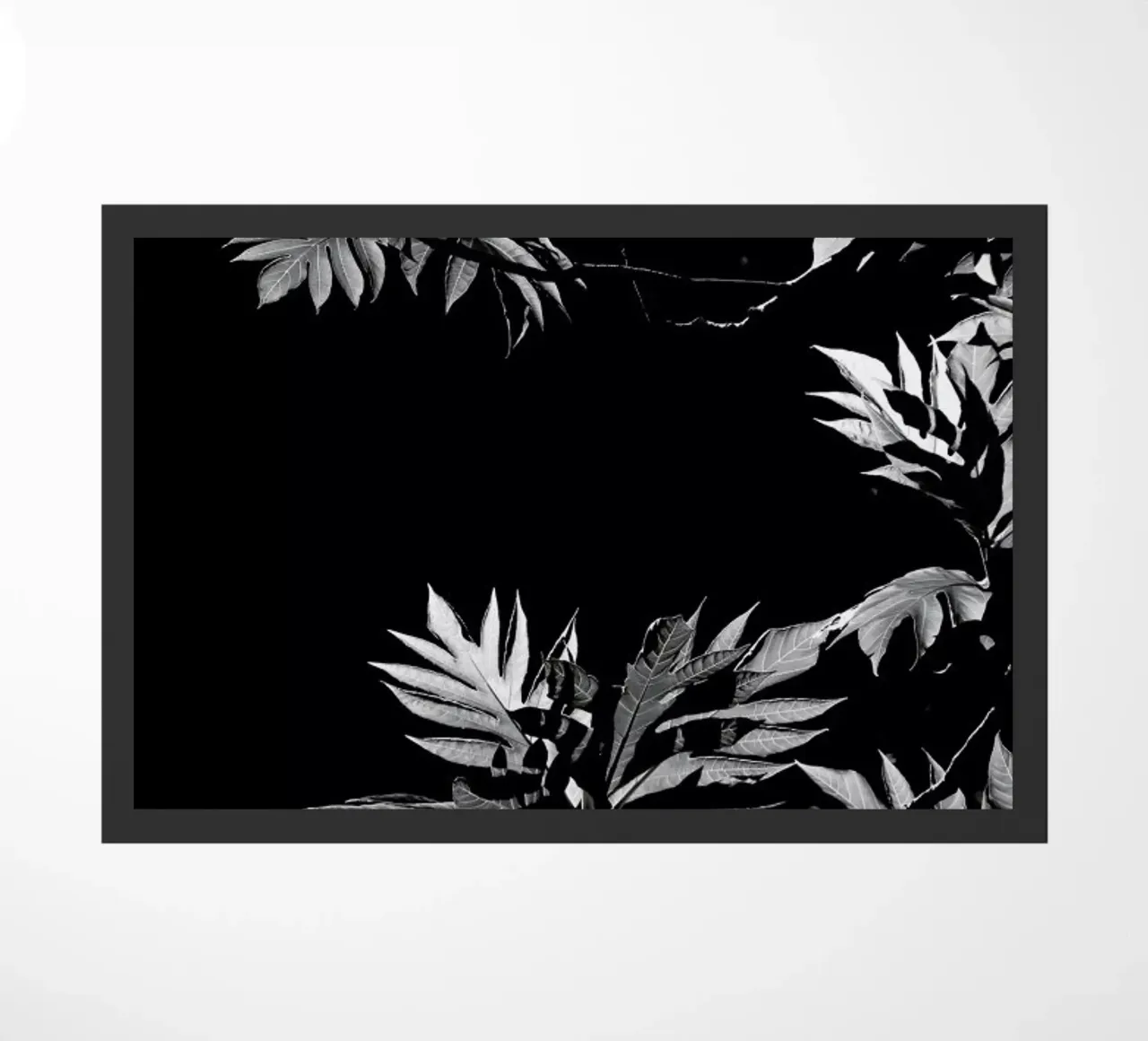 Wata zerbino da Shot By Clint