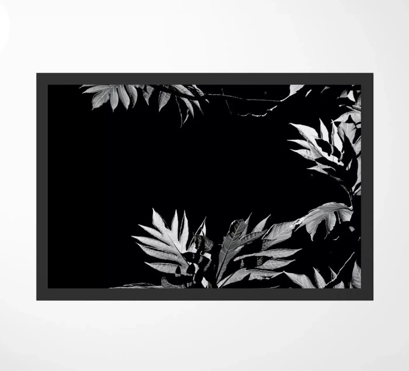 Wata zerbino da Shot By Clint