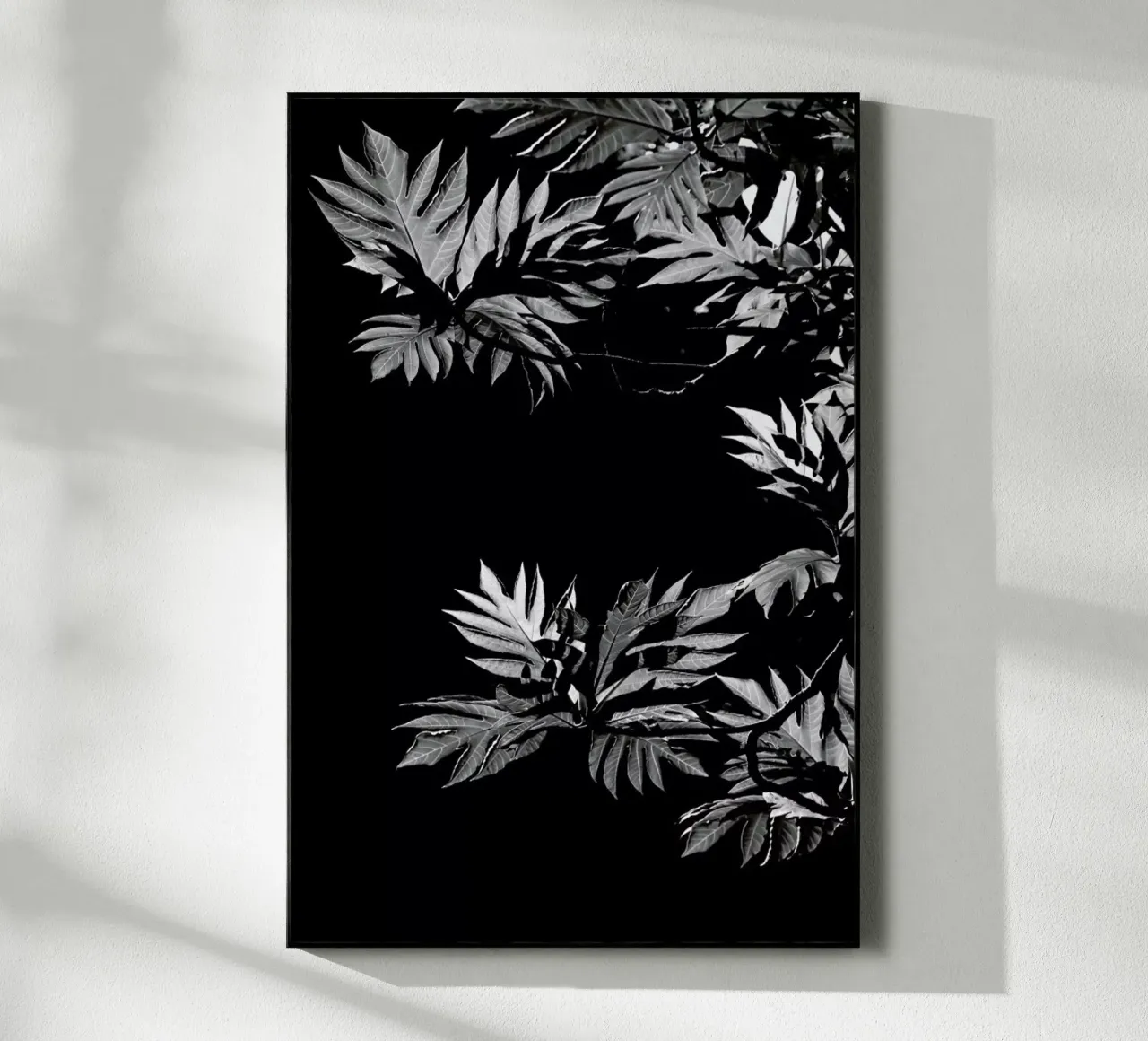 Wata plexiglass da Shot By Clint