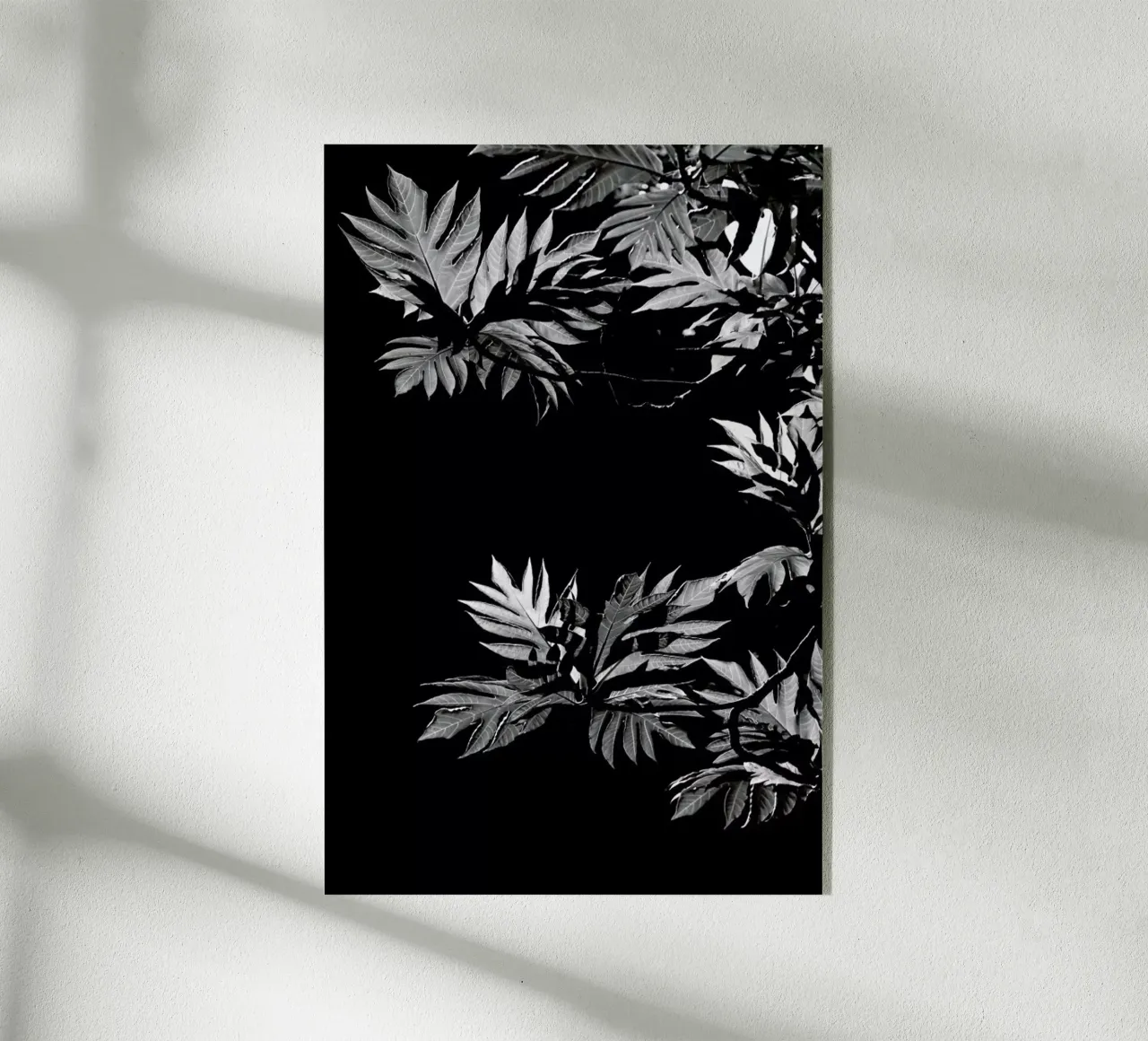 Wata plexiglass da Shot By Clint