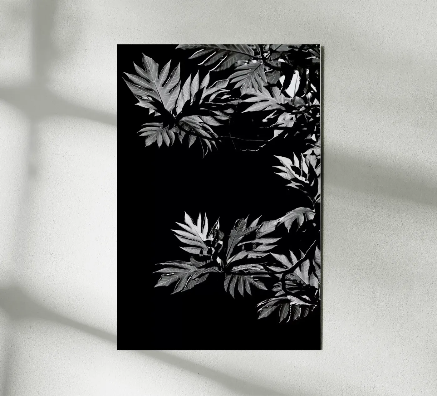 Wata pannello forex da Shot By Clint