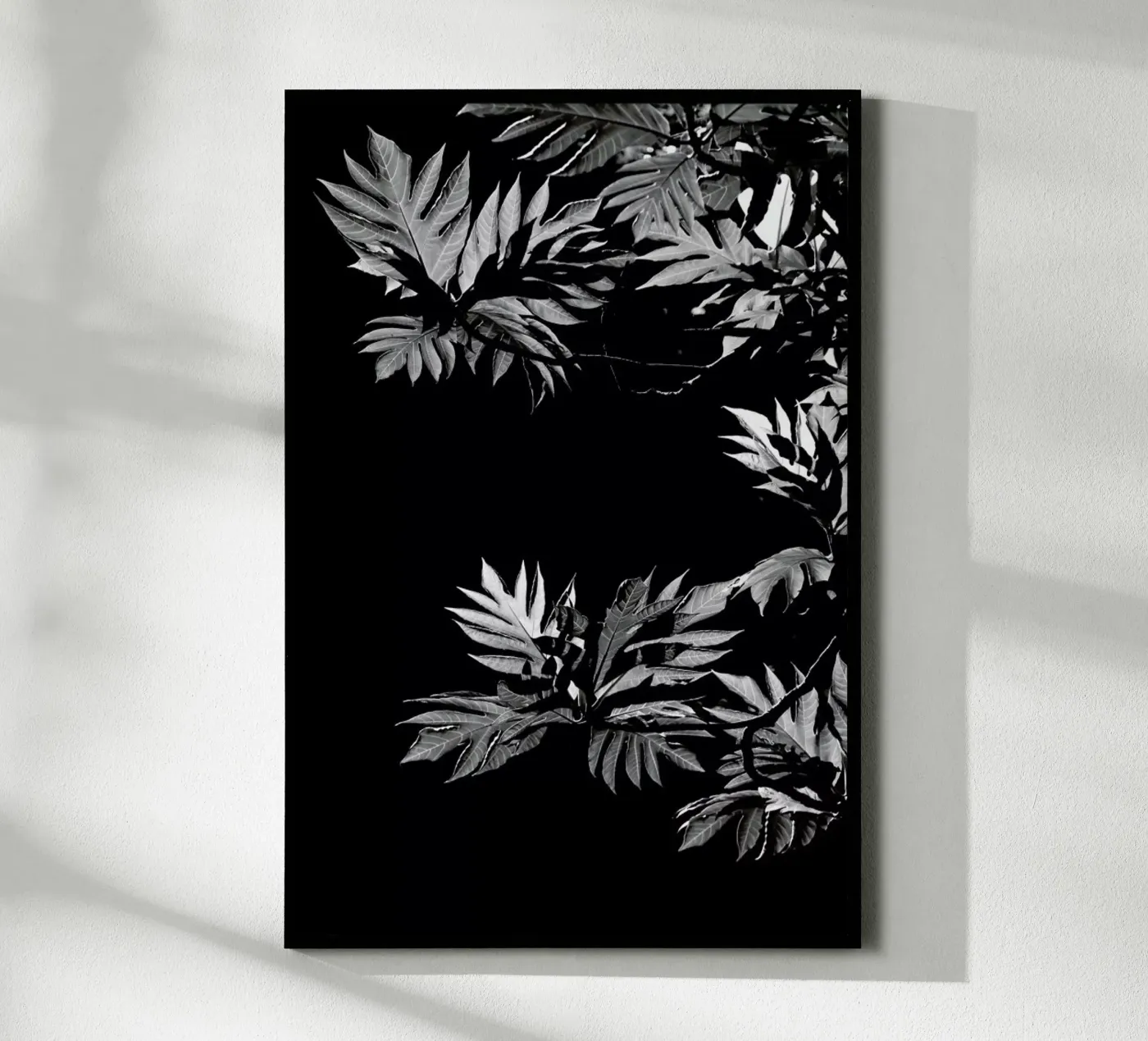 Wata poster by Shot By Clint