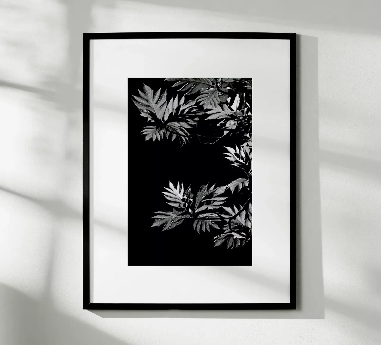 Wata poster da Shot By Clint