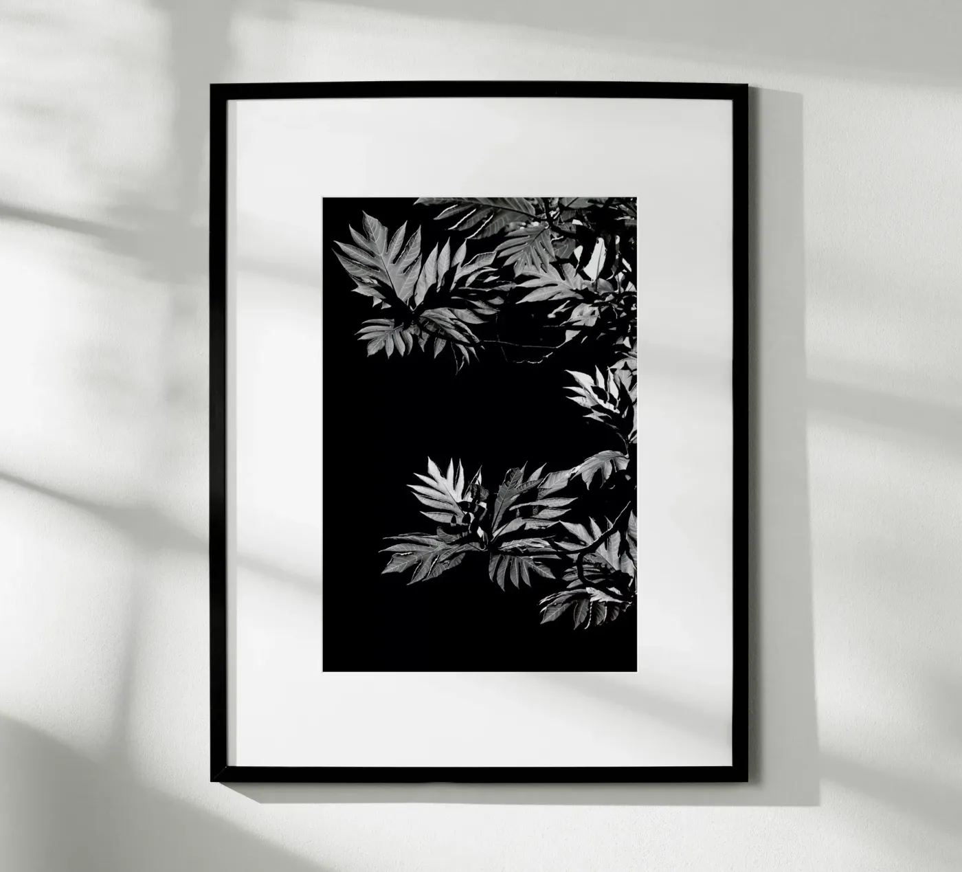 Wata poster by Shot By Clint