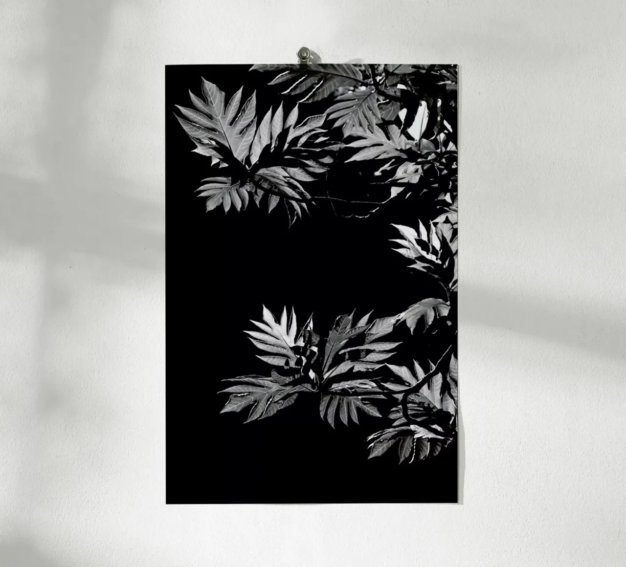 Wata poster da Shot By Clint