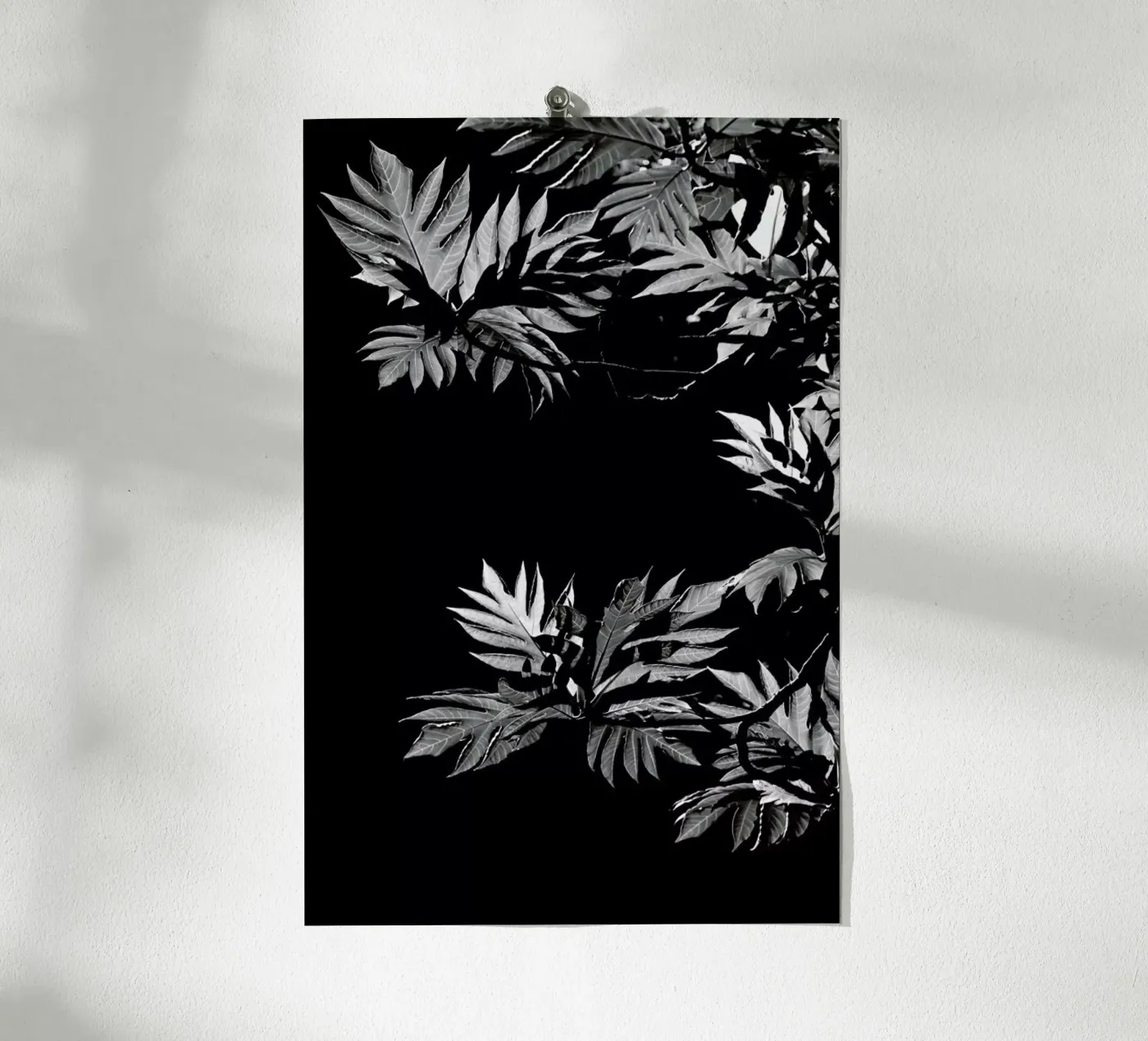 Wata poster by Shot By Clint