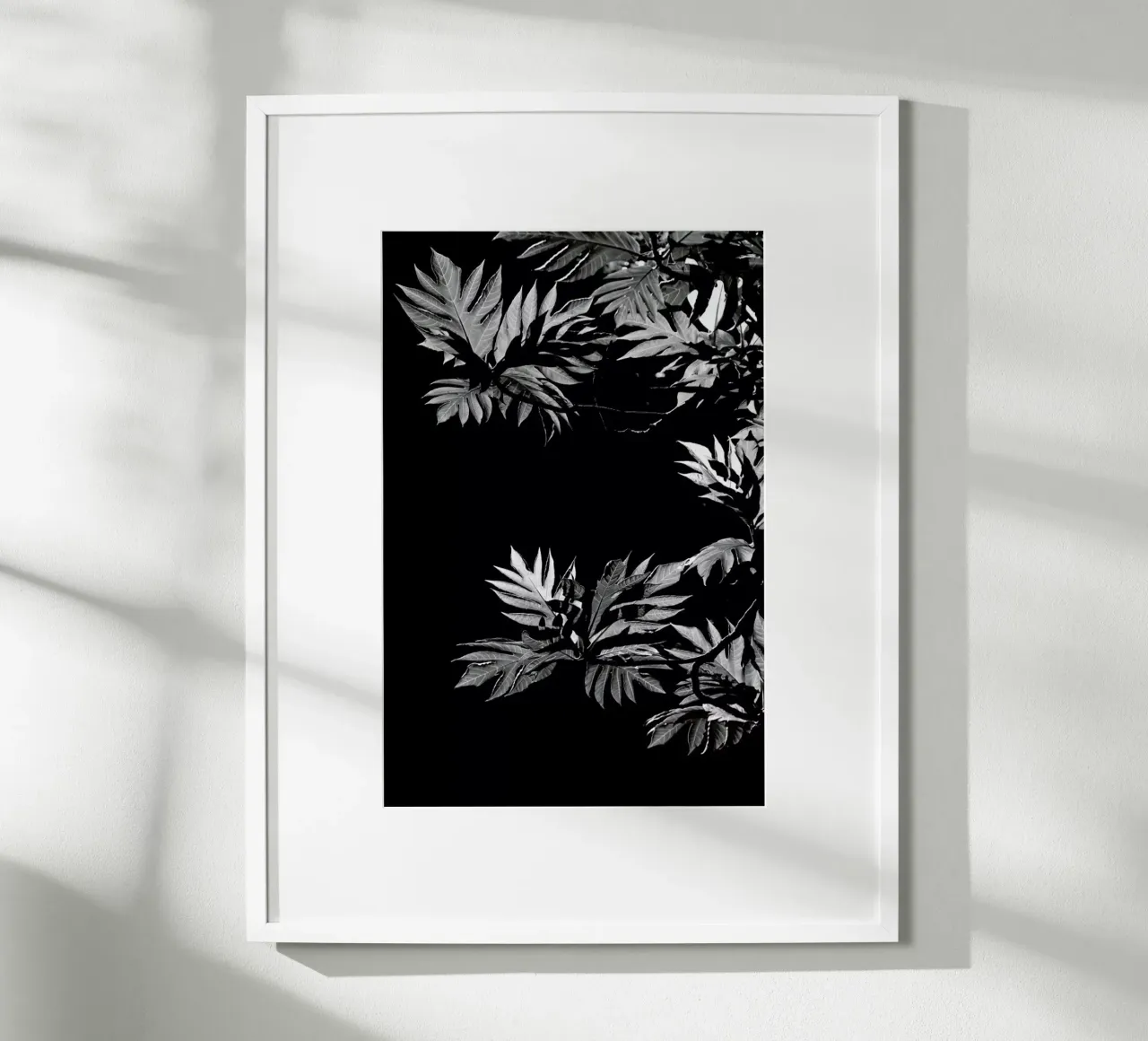 Wata poster da Shot By Clint