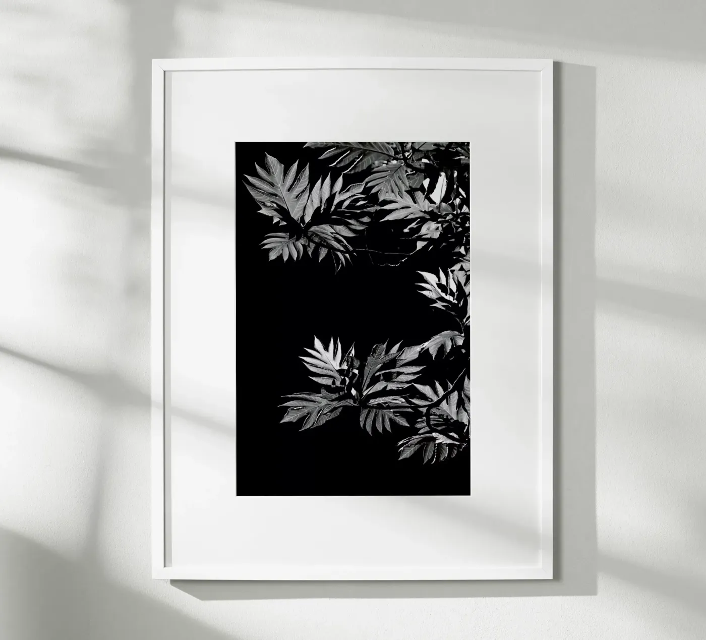 Wata poster by Shot By Clint