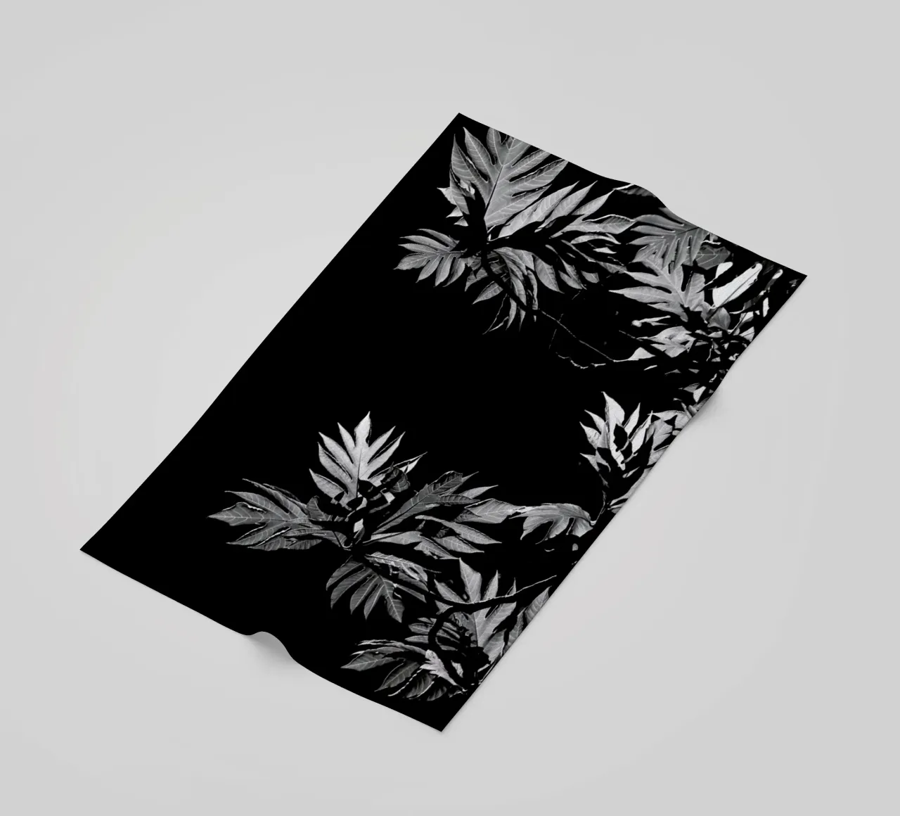 Wata telo mare da Shot By Clint